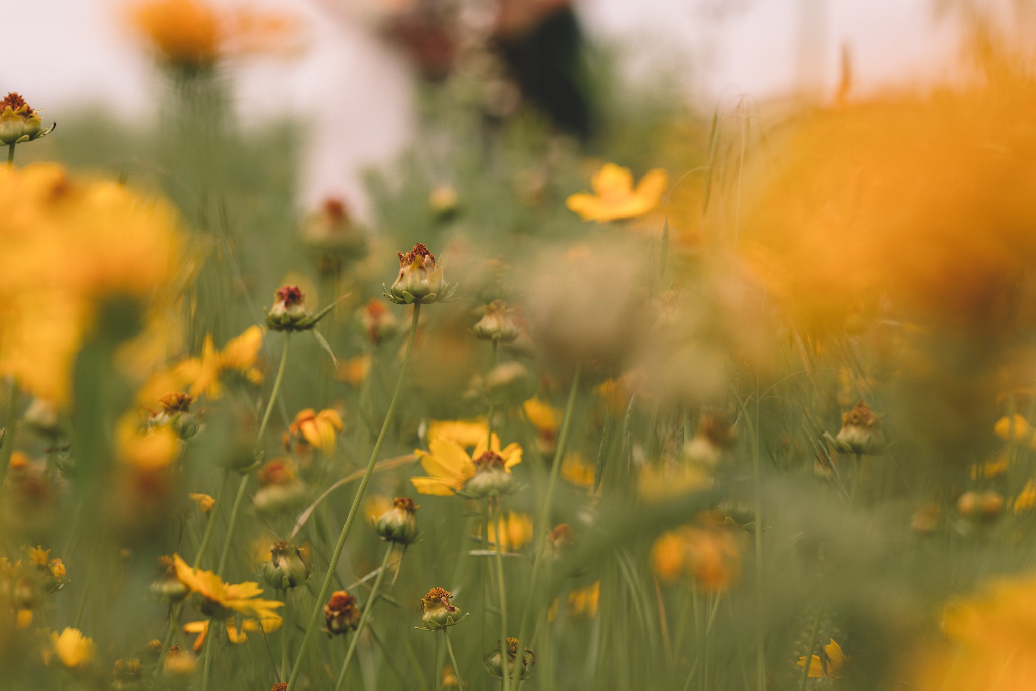 Jeremy + Grace Prophetstown State Park Indiana Wedding - Again We Say Rejoice Photography-102.jpg