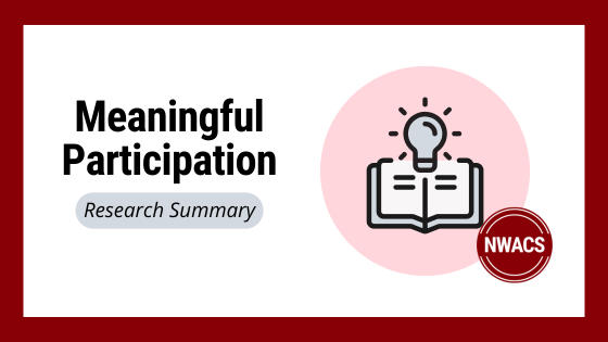 meaningful participation research summary
