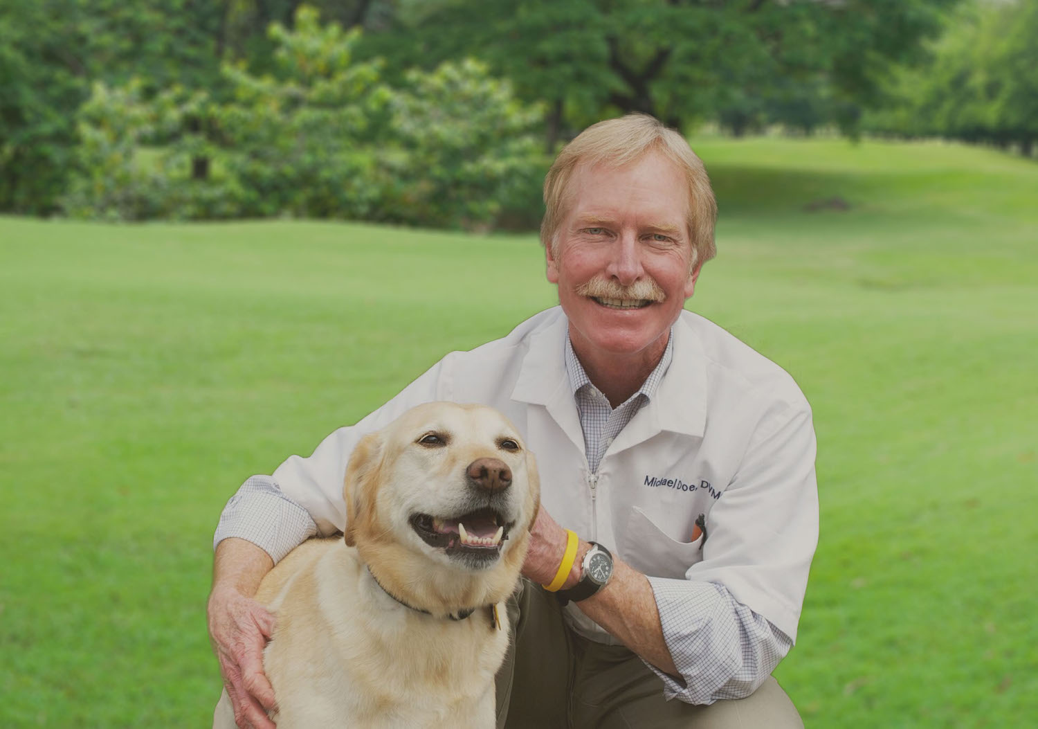 argo animal hospital boiceville ny