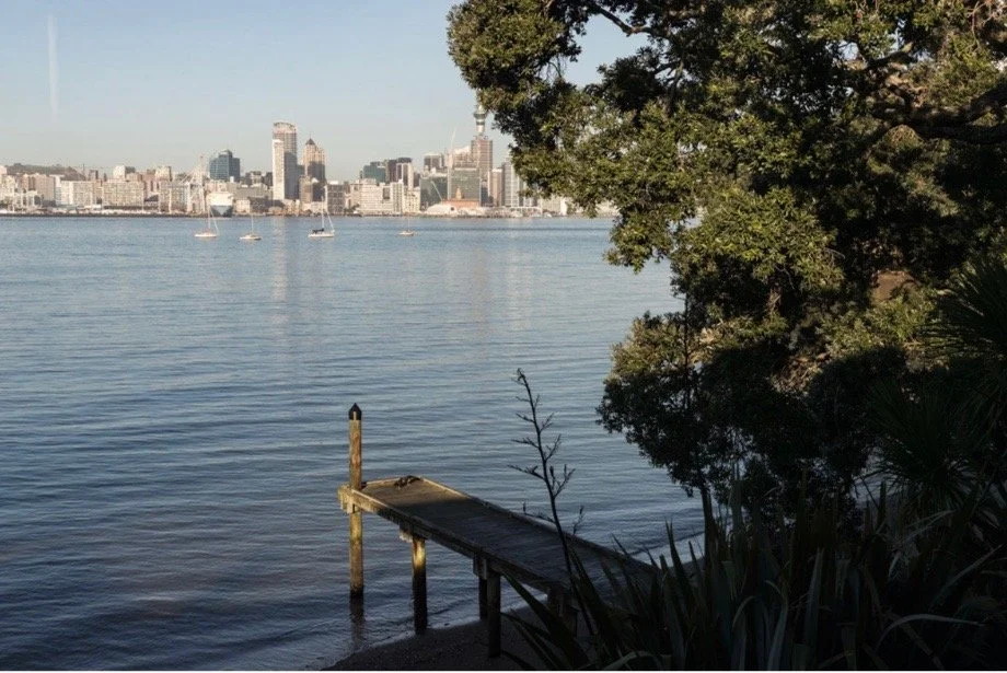 Screen Shot 2023-01-18 at 5.16.43 PM.jpeg