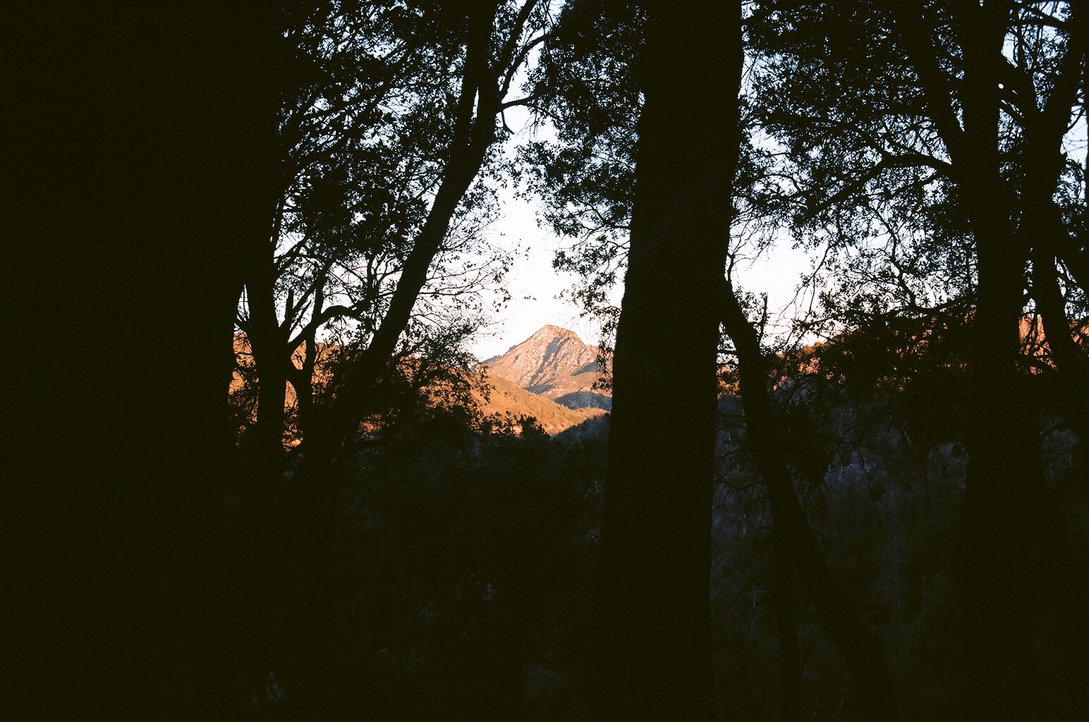 The mountains are my go-to spot. 