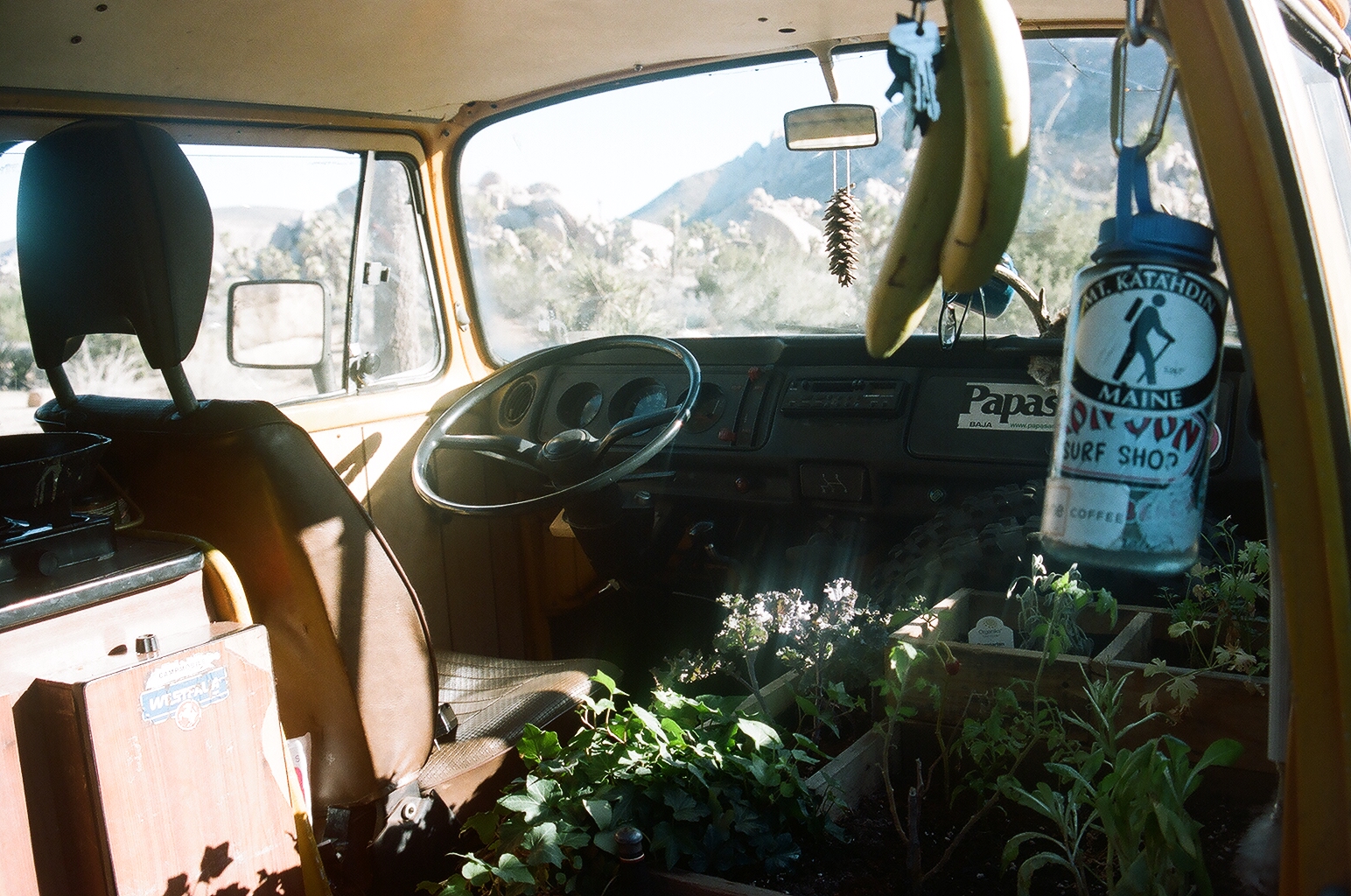 James' indoor garden. Not only does it provide food, but an organic smell for the whole van.