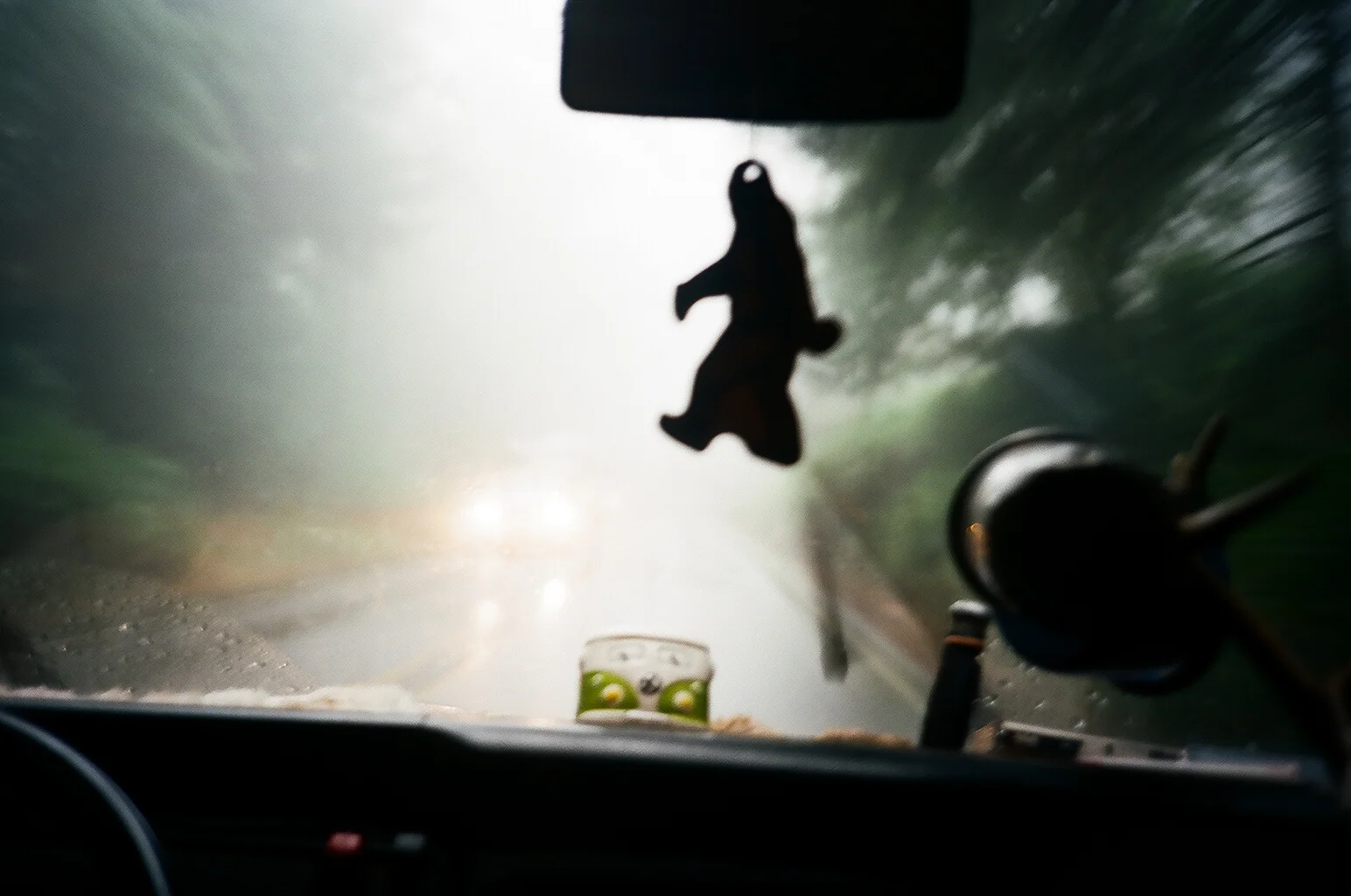 Big Foot spotting. Driving thru rain on the Oregon coast. 