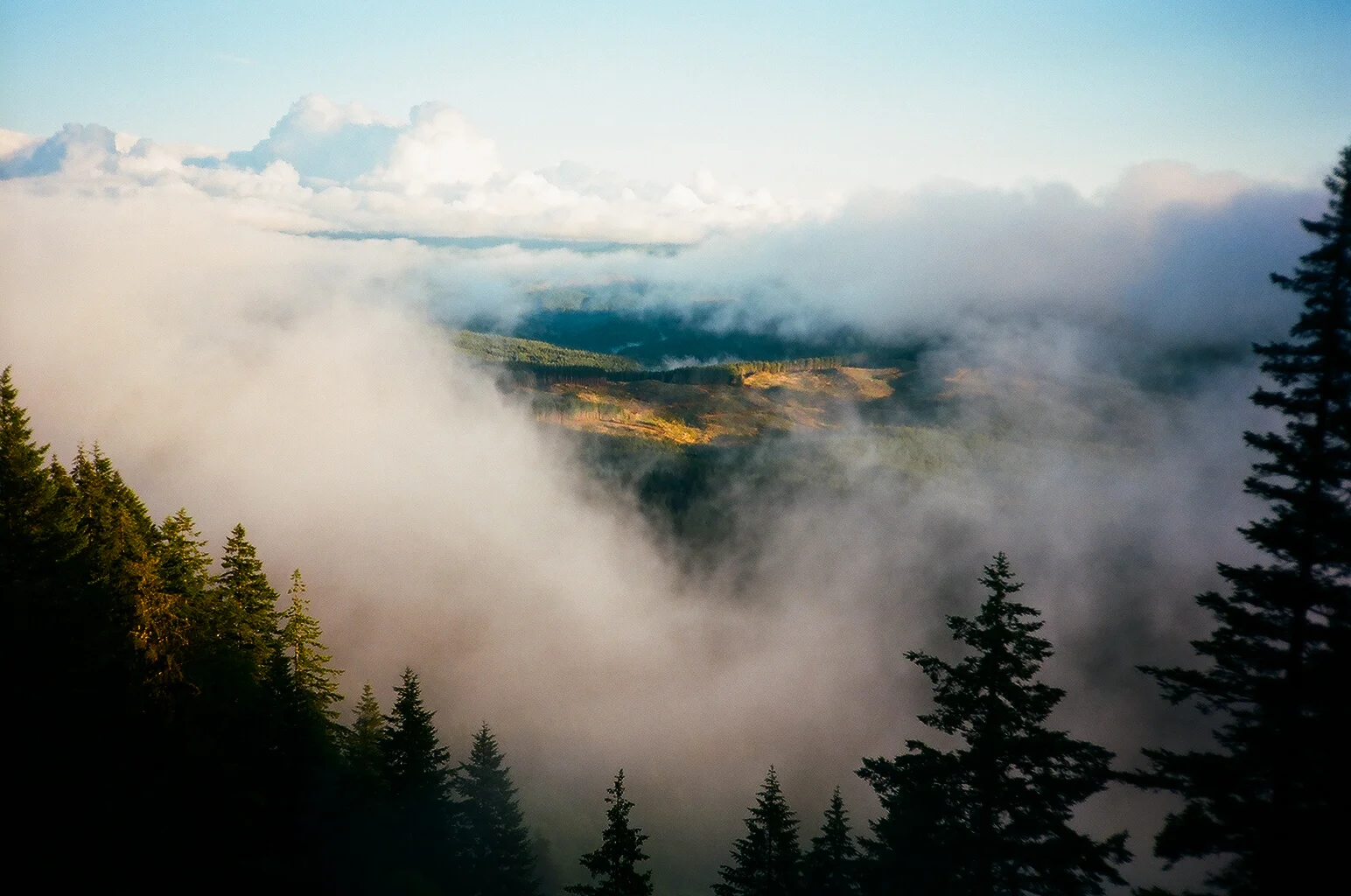 Hiking through the mountains was on my list of to-do's. The possibilities are endless in the Pacific Northwest. Here's a photo of the fog parting perfectly over miles of national forest and logging roads.