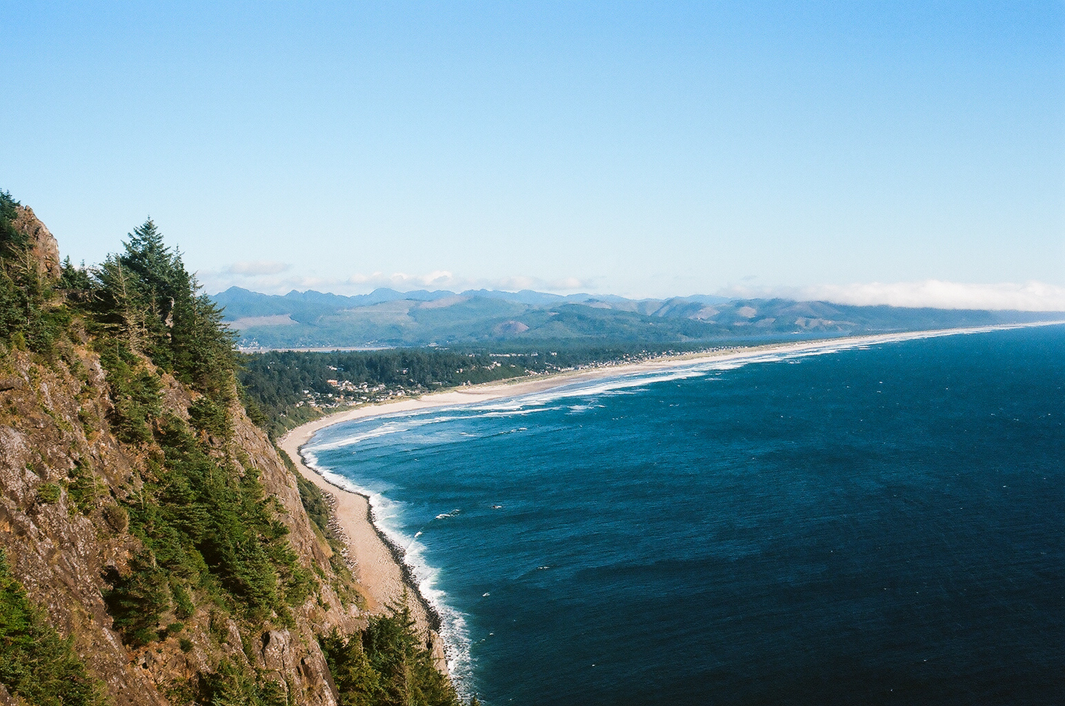 Manzanita.