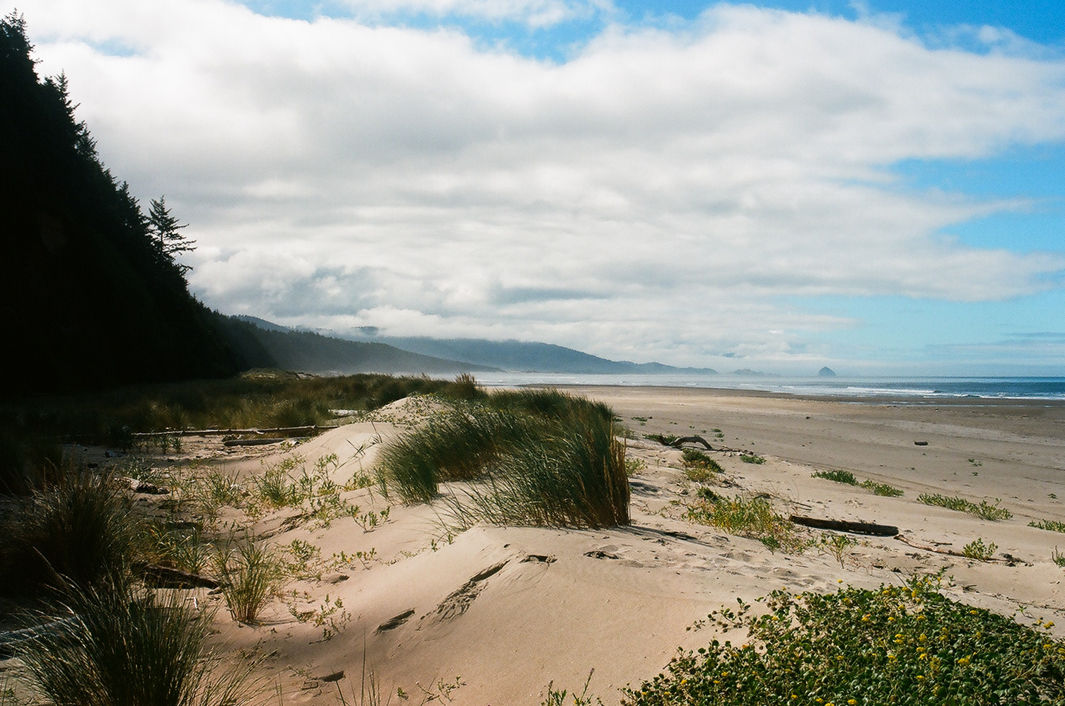 Arguably one of the most wildest, scenic spots I've ever surfed in my life.