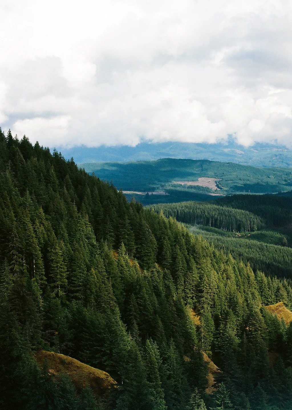 I could live in the Pacific Northwest someday...