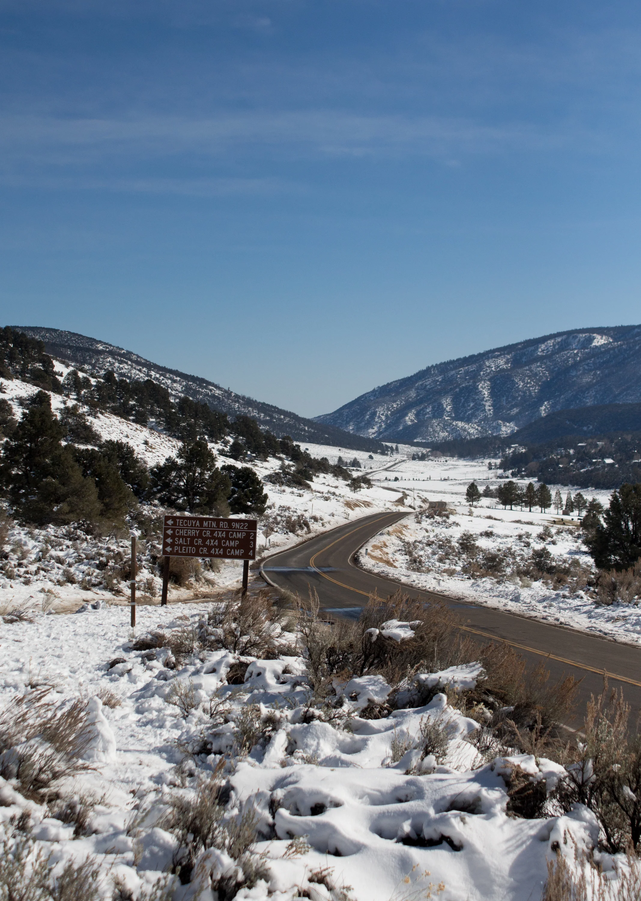 On Tuesday the 27th, Avrie and I headed north on the 5 freeway in search of snow. Growing up in southern California, I haven't had too much experience being in this strange substance, so I figured we would take a day to search for some nearby fields we could play around in. We only ended up driving 45 minutes to the Frazier Mountain area, and what we found was pretty satisfying. Take a look.