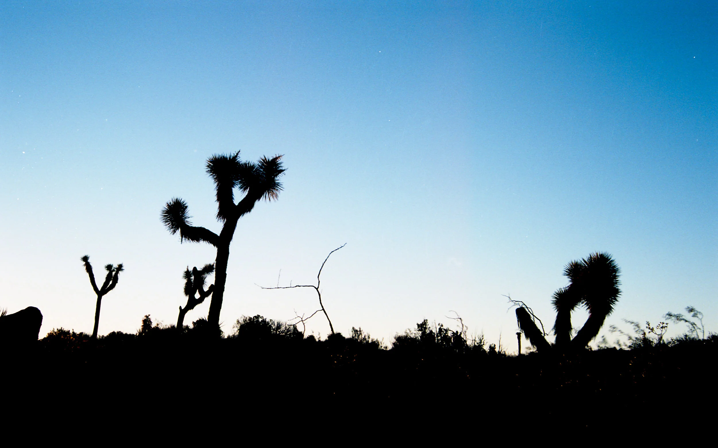 Dawn patrol.