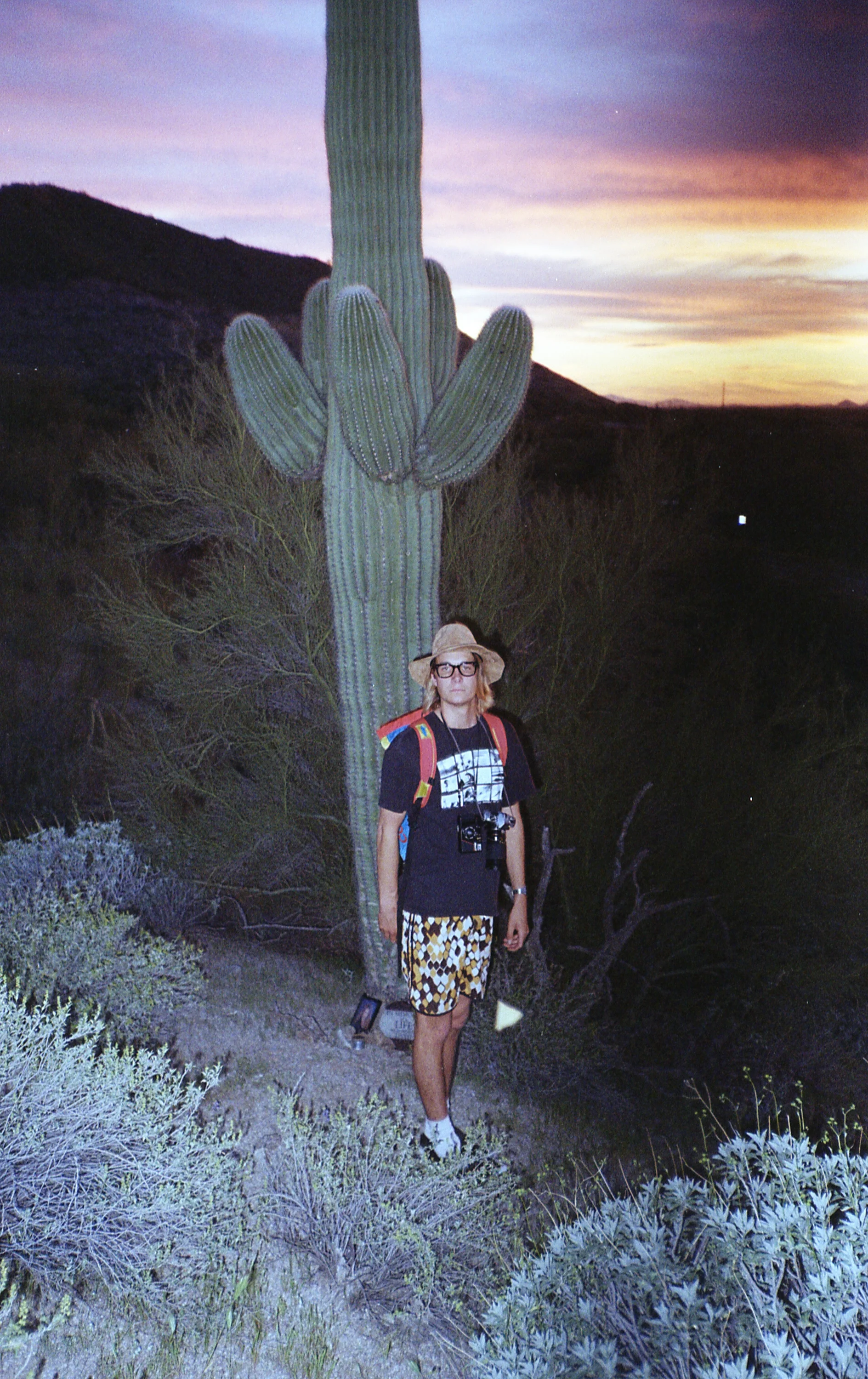 A memorial site was placed at the base of this giant saguaro.