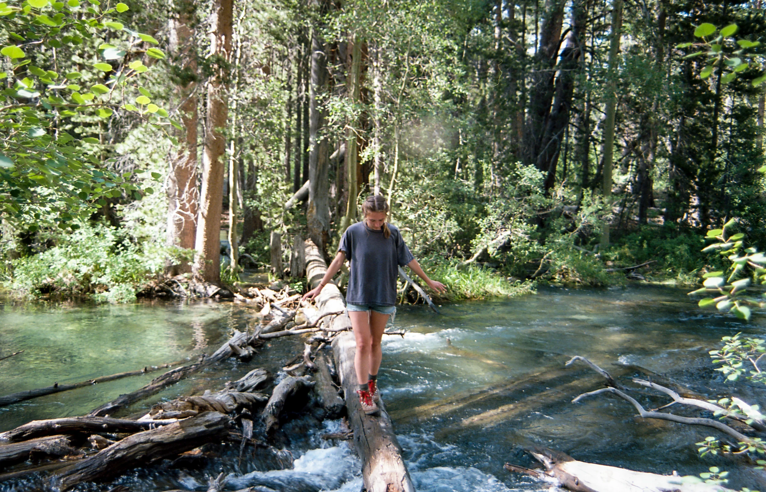 I recall very vividly a July summer spent exploring and tampering the depths of Rush creek with our conventional fishing rods. We were reaching the beginning of our elongated adolescence as Sean and I became confident enough to tamper with the creek on our own while also attempting to reel in some tasty trout.