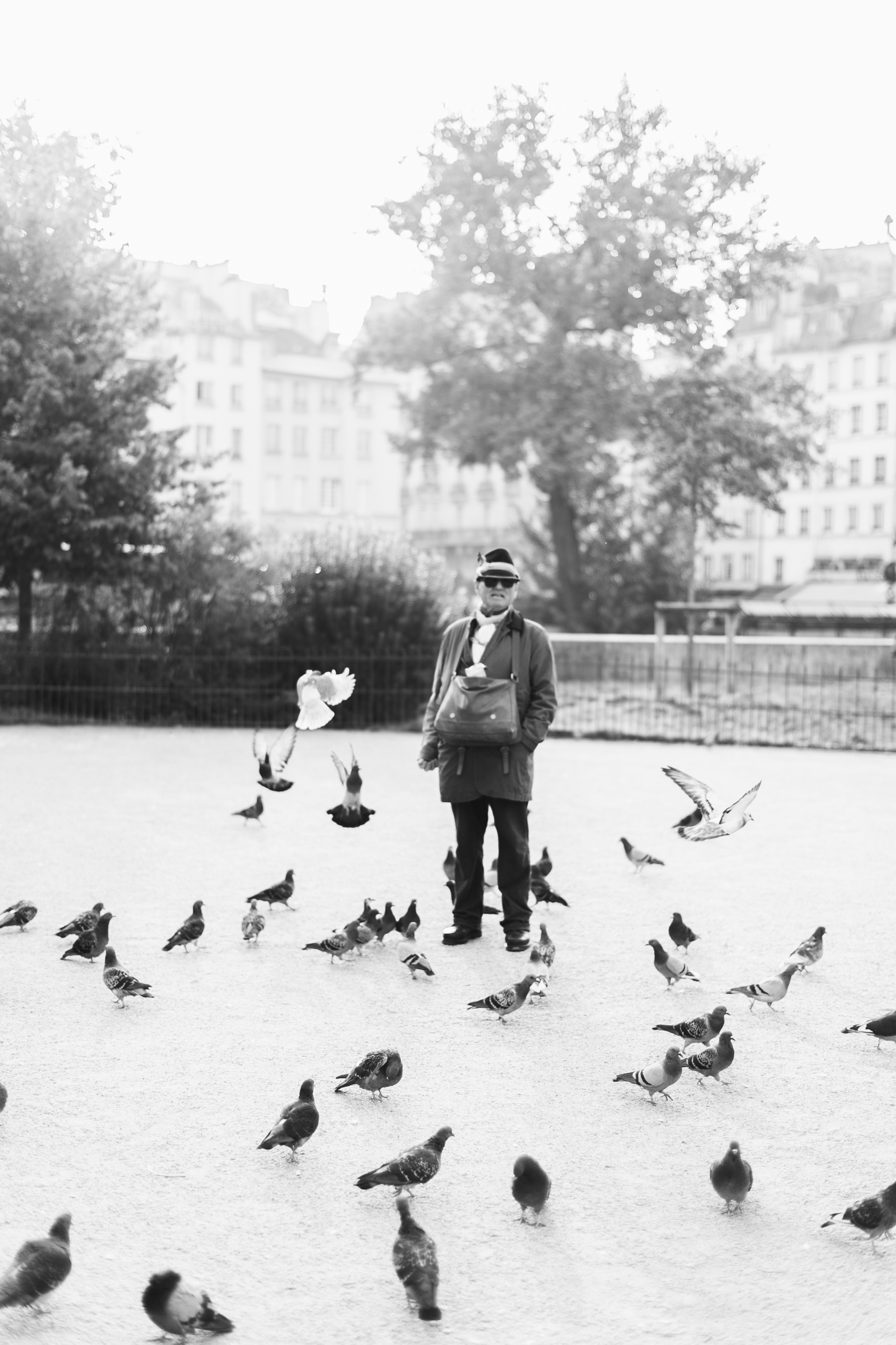 Alea Lovely's American Guide to Paris