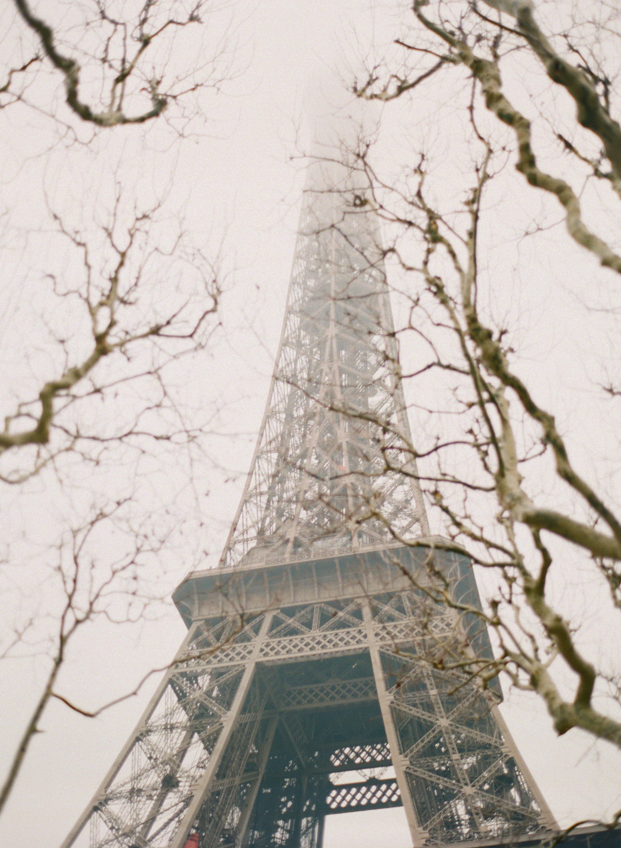 Alea Lovely's American Guide to Paris