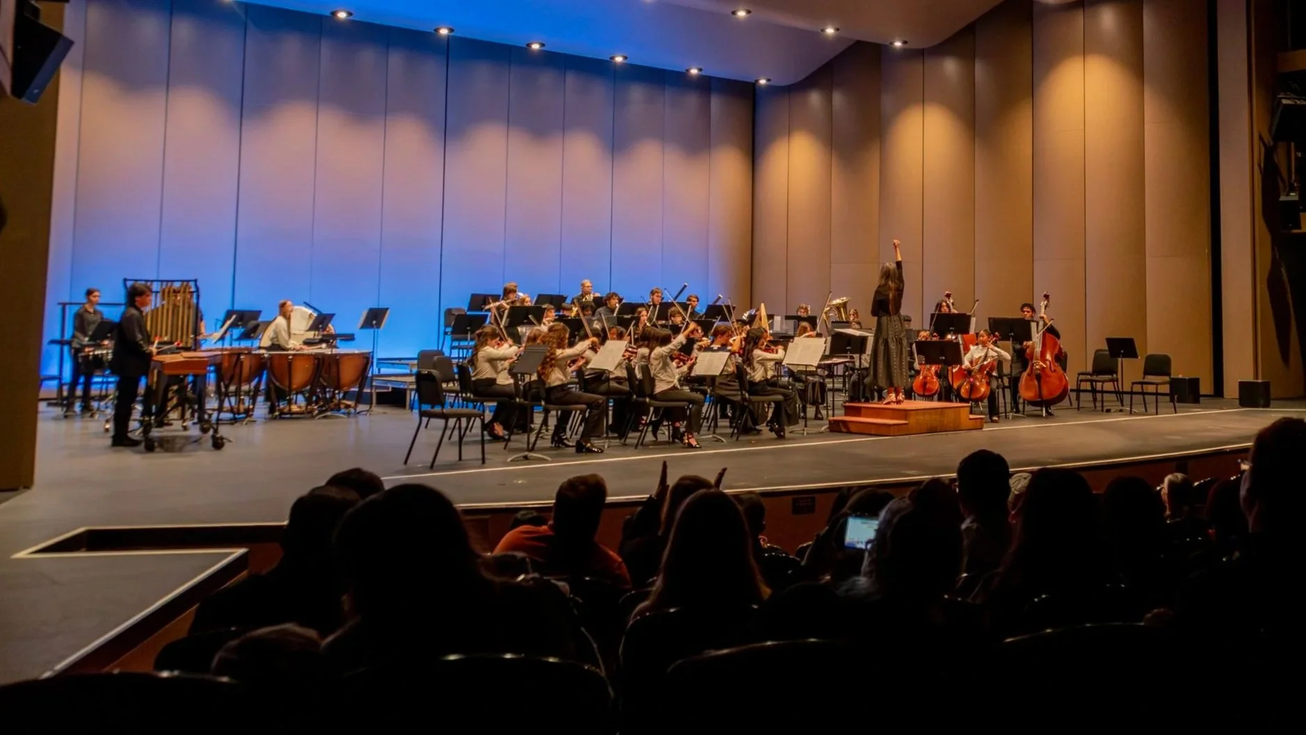 Modesto Symphony Youth Orchestra