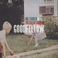 goodfellow_mrpaker.jpeg