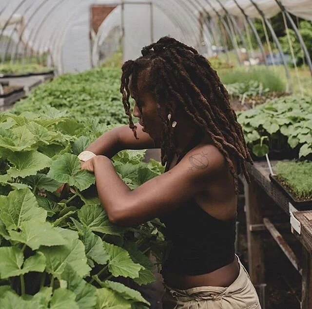 Black Liberation includes Black Farmers. Uplift the folks on the frontlines in the soil feeding community. Follow my sister @ambertamm
