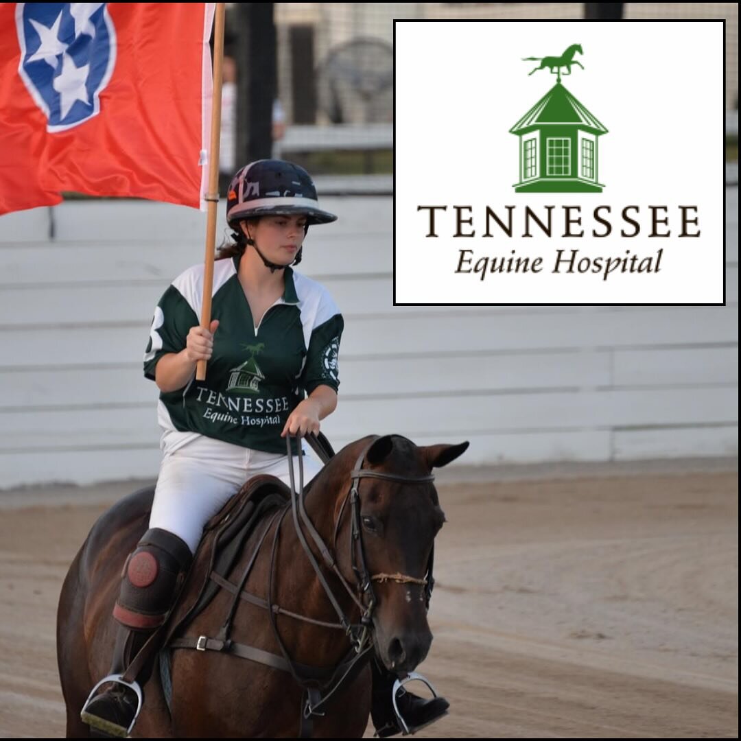 We want to send a special thank you to Tennessee Equine for their sponsorship and ongoing support of our polo ponies! @tnequinehospital @tnequinesouth @tnequinenorth @tnequinewest 🙌🐴👏

#tennesseeequine  #thankyou #sponsors #2023  #horselove #polo 