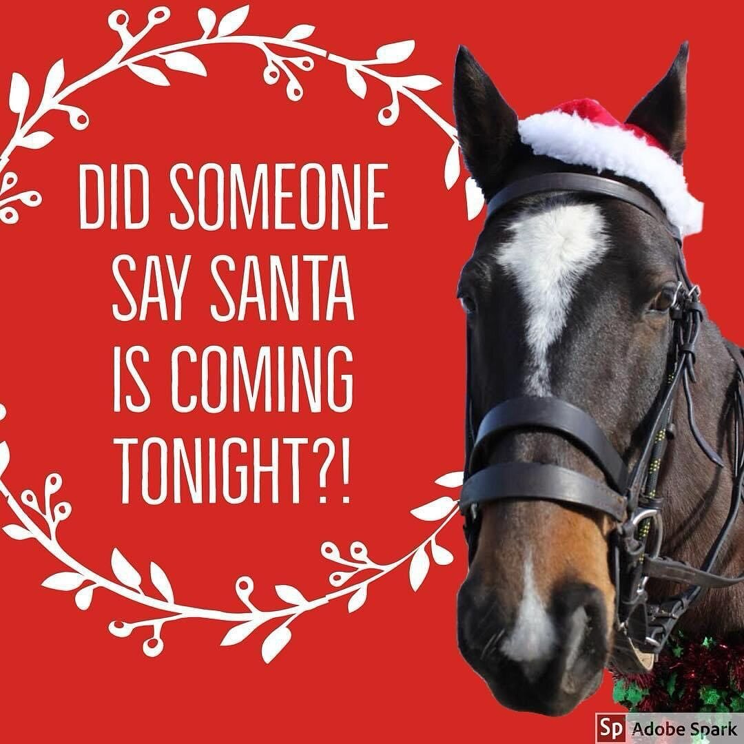 Merry Christmas Eve Polo Friends!!! 🎄✨🐴
#santaiscoming #horselove #merrychristmaseve #polopony #christmashorse