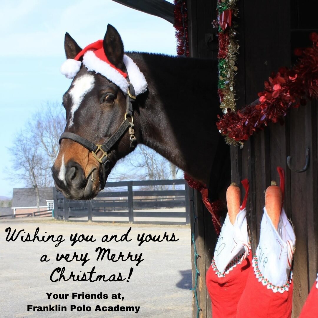 Merry Christmas from your friends at FPA! 🎄🐴🎁 #merrychristmas #polo #polopony #pololife #horselove #christmashorse