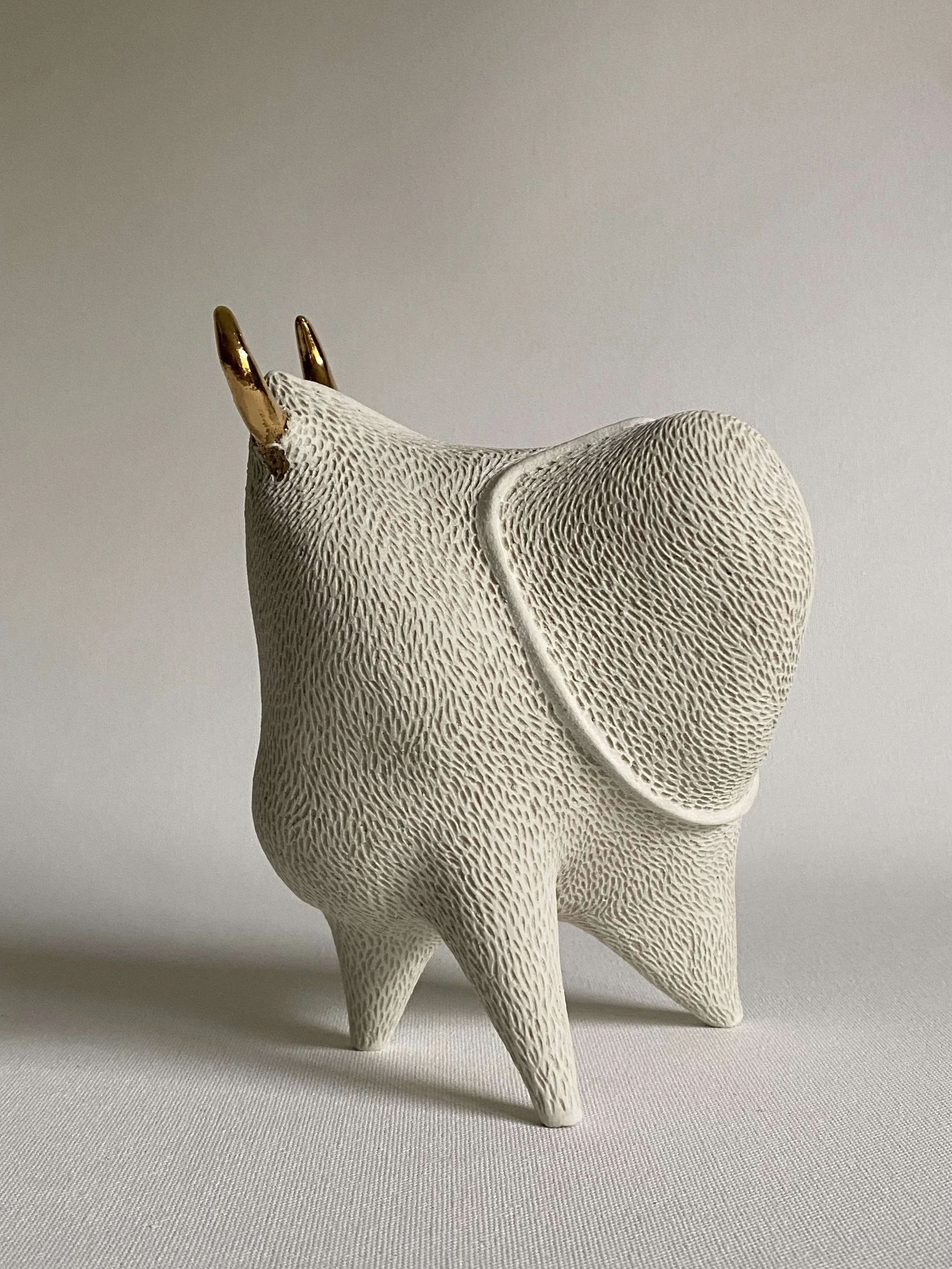 time to explore.2.jpg