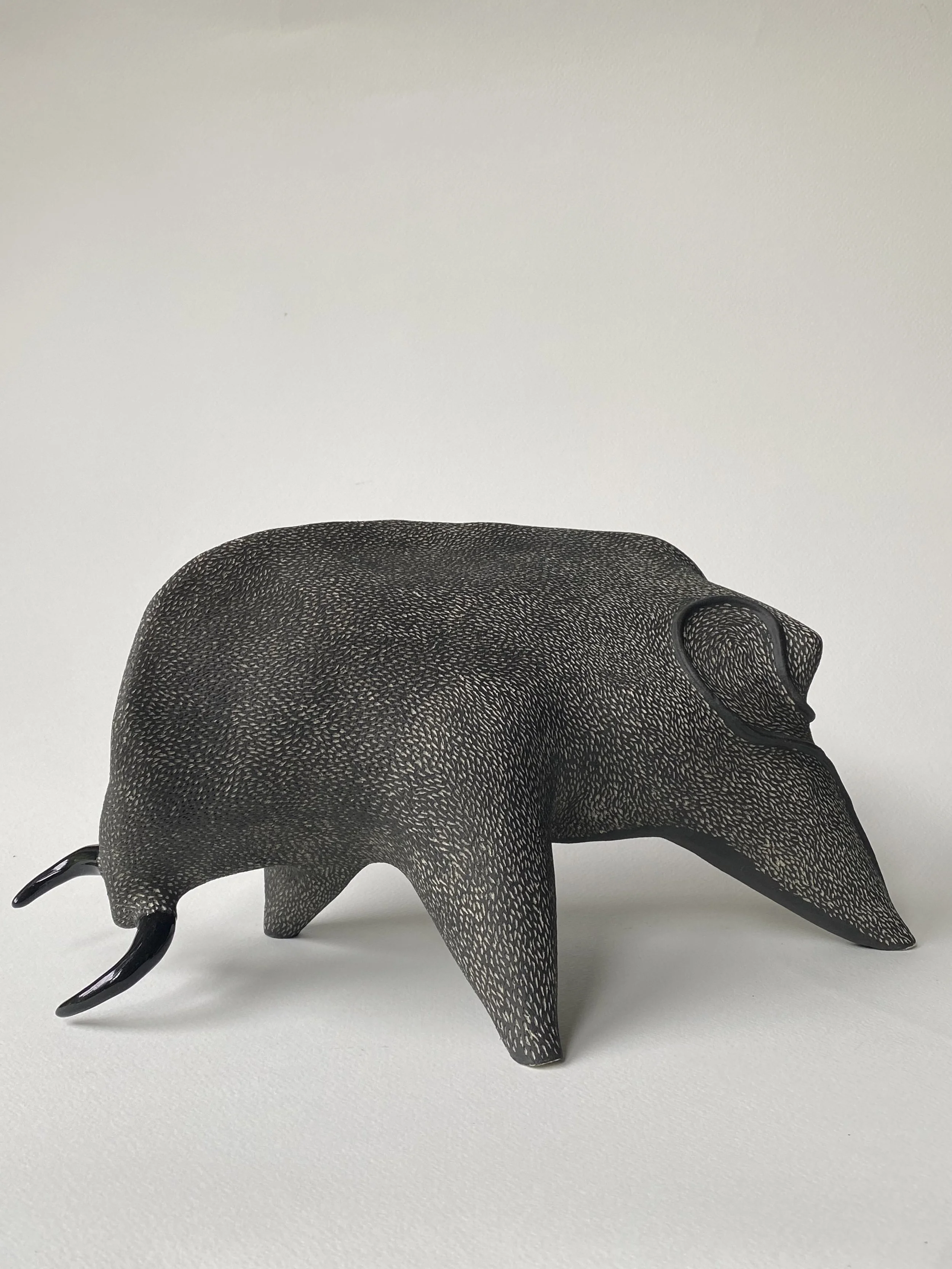 every which way copy.jpg