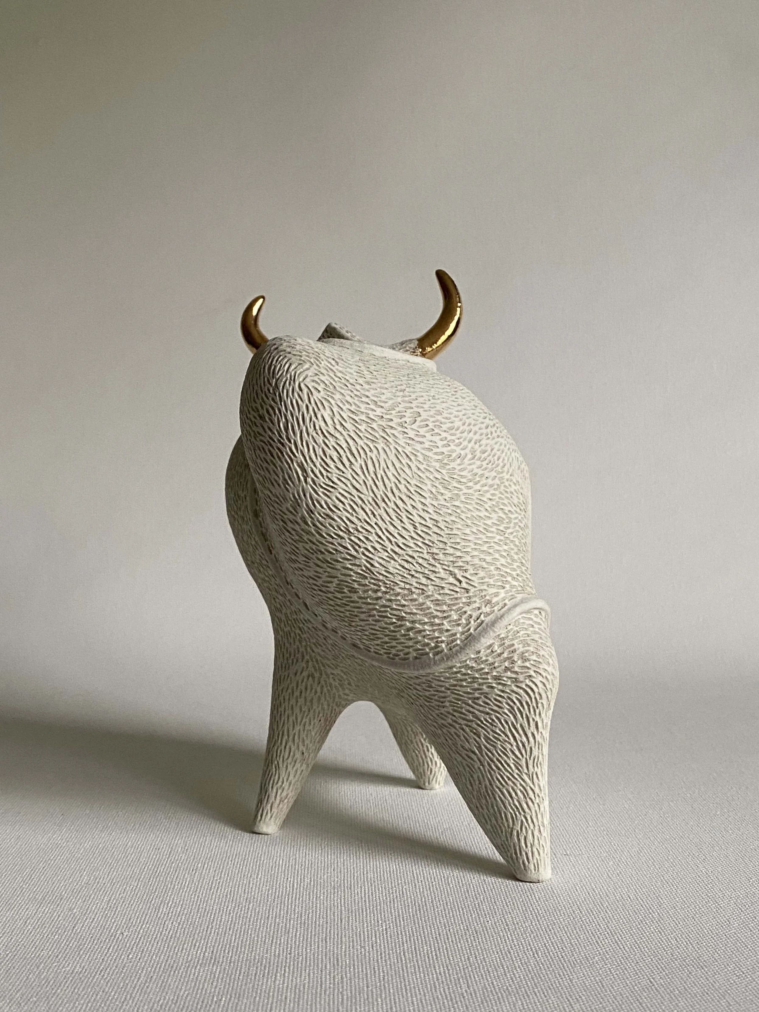 time to explore.6.jpg