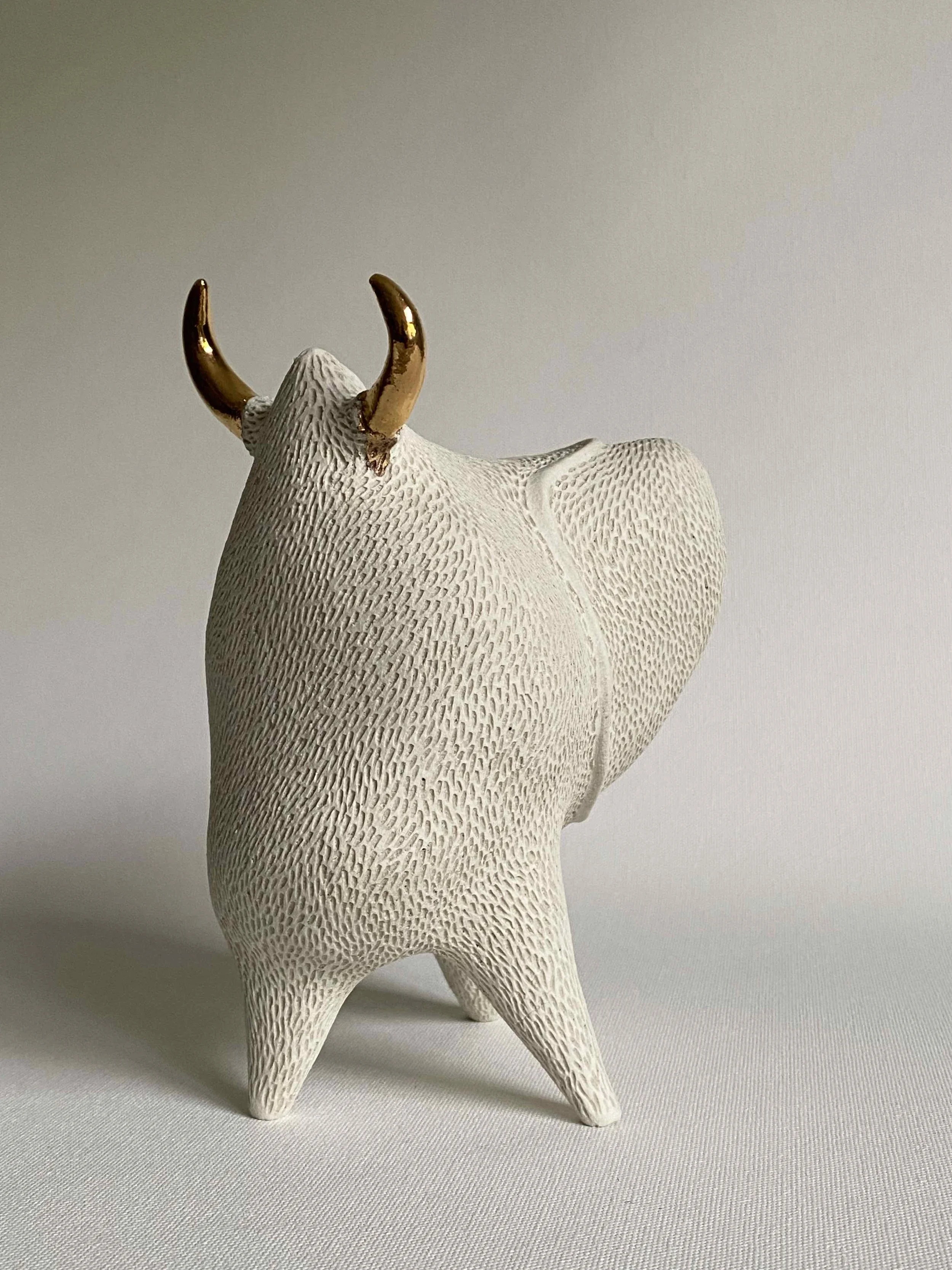 time to explore.3.jpg