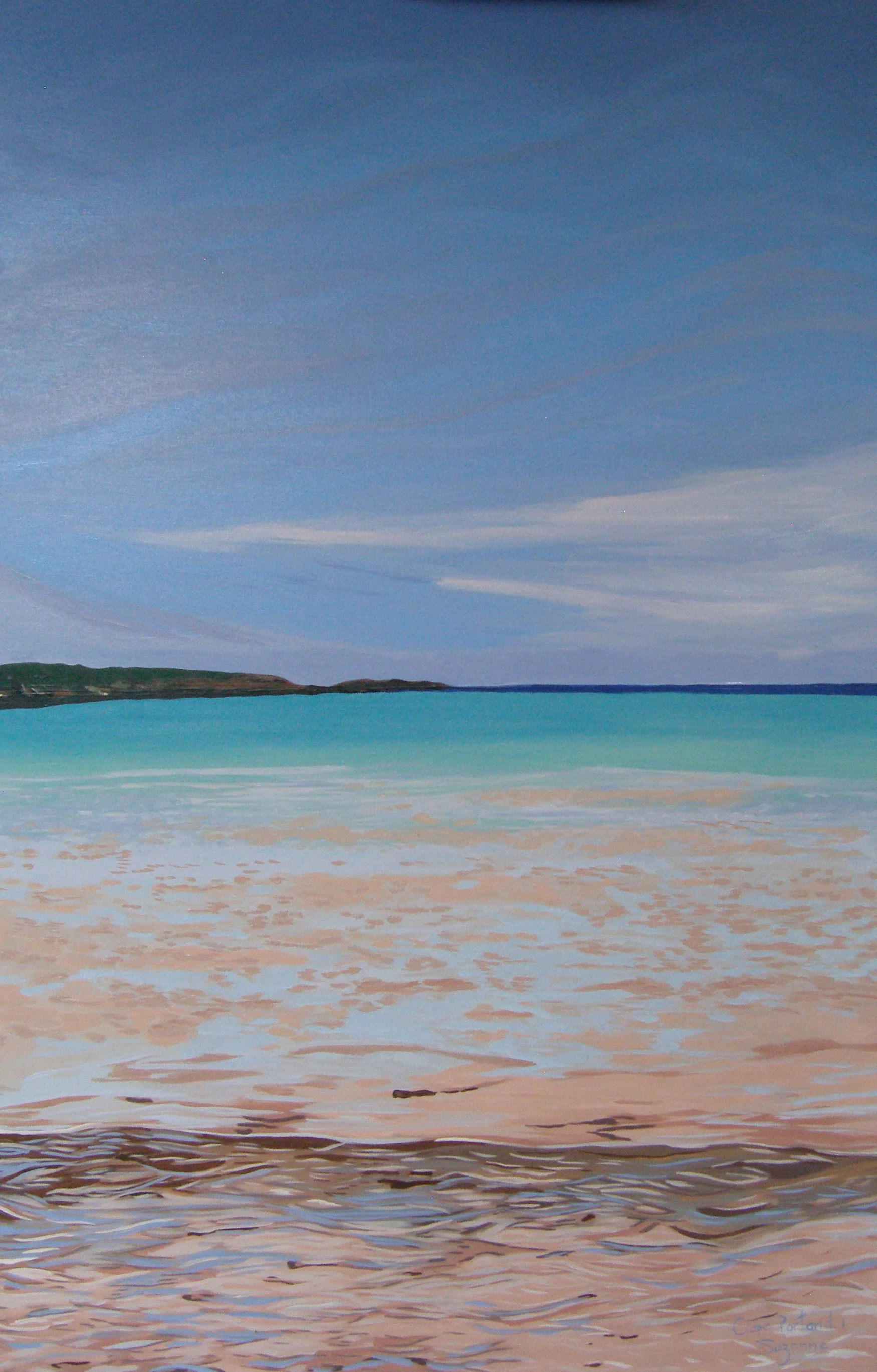 Cape Portland Diptych 