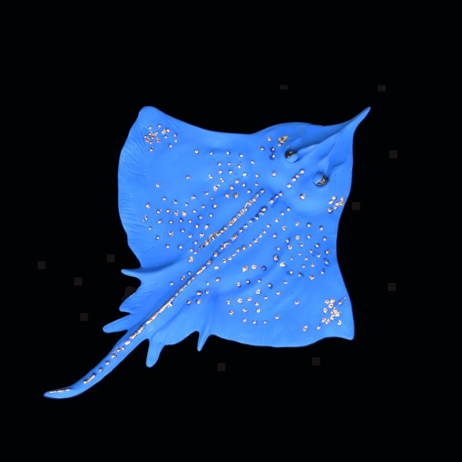 CoBlue 2.jpg