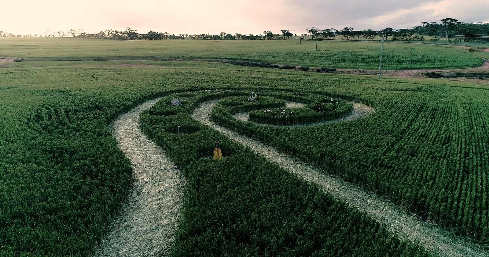 Biosphere Boodja Arcadia Farm Crop Circle