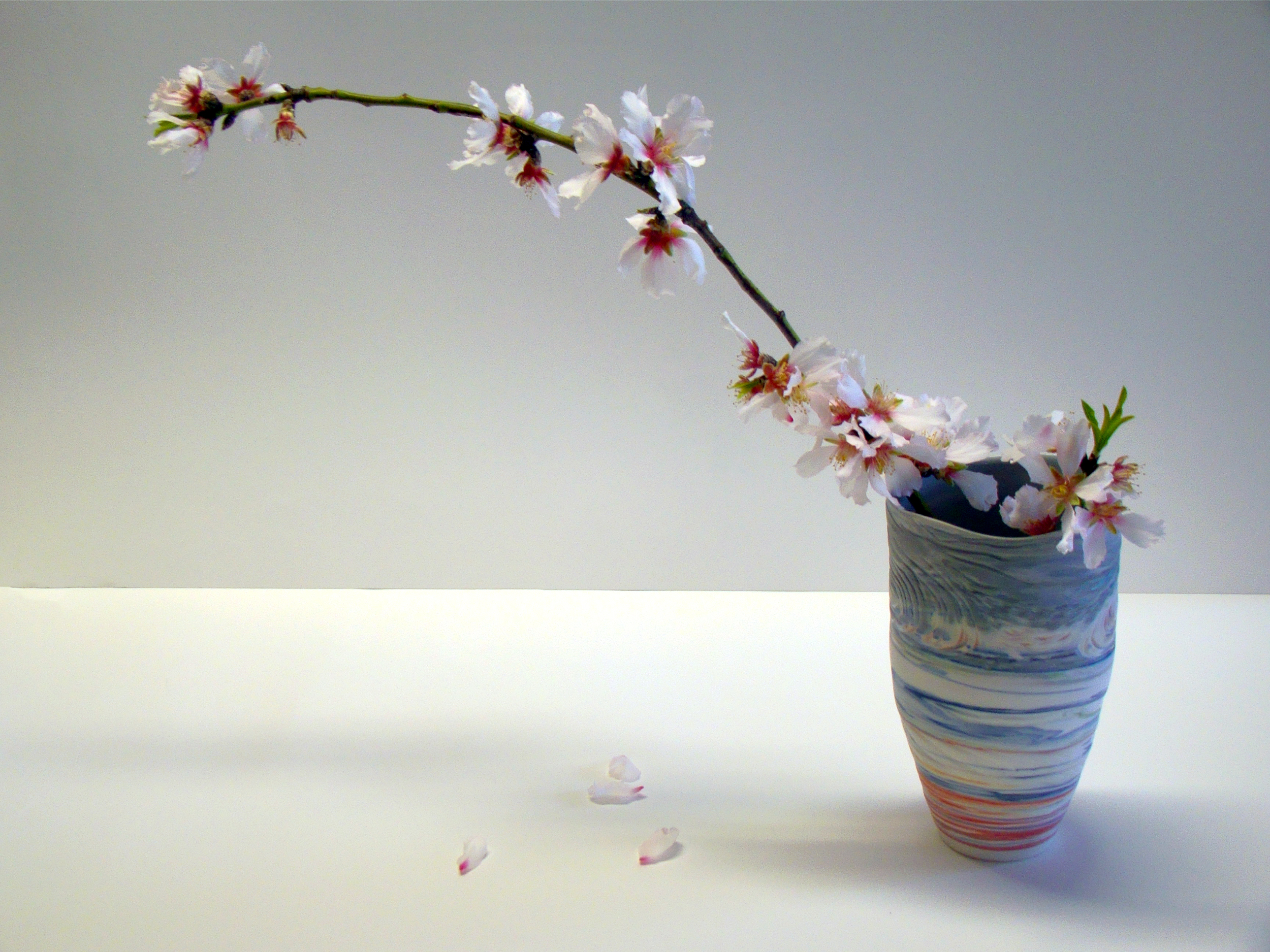 AgateWare_blossom2.jpg