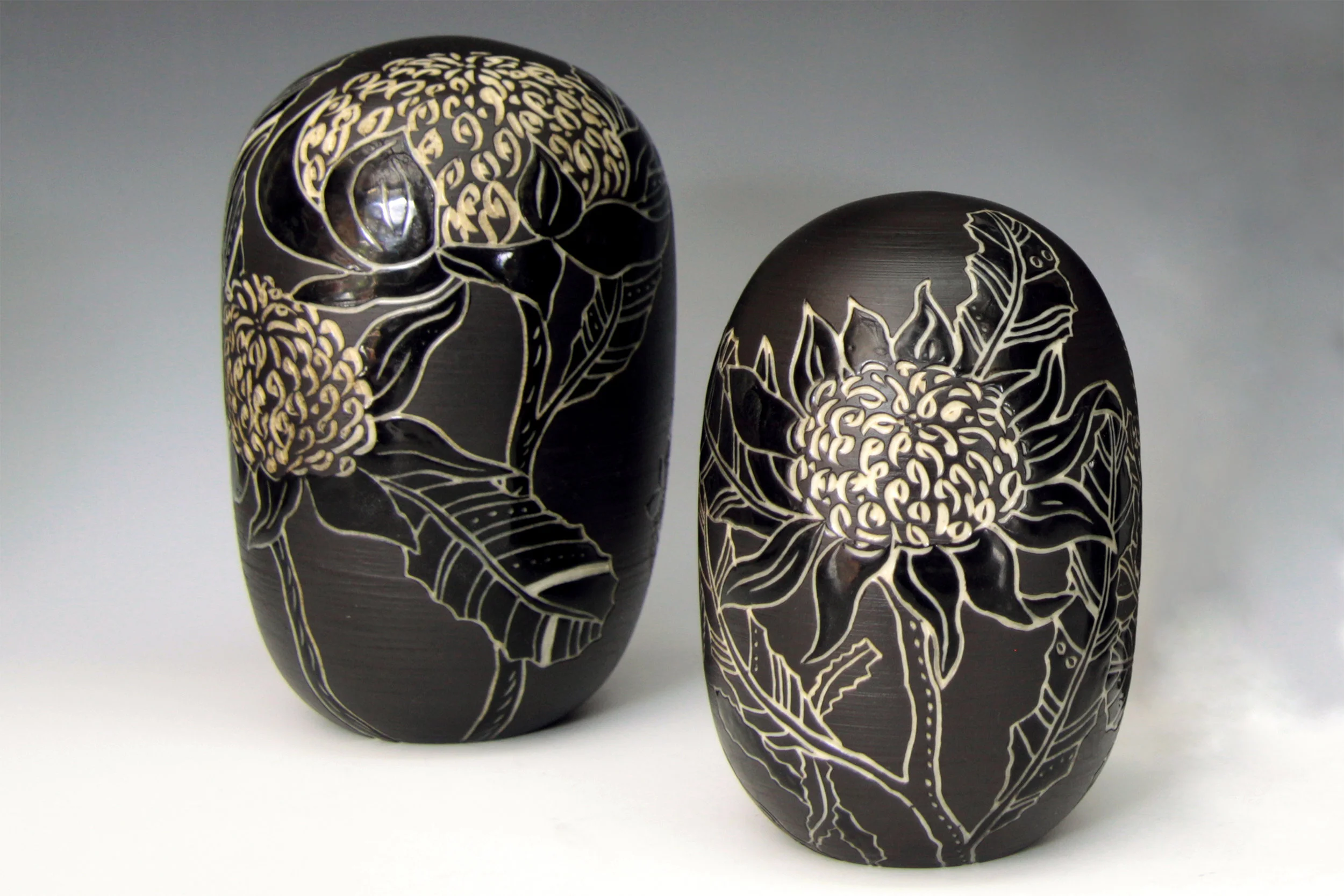 Banksia_waratah_domes_tall.jpg