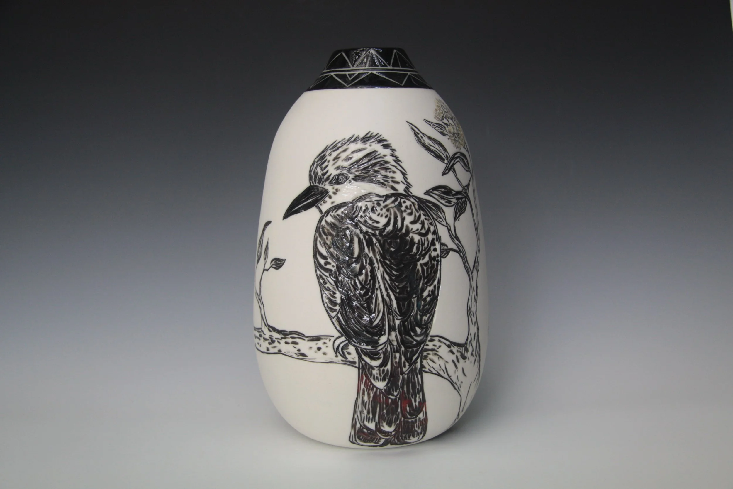 Kookaburra birds on Jarrah branch