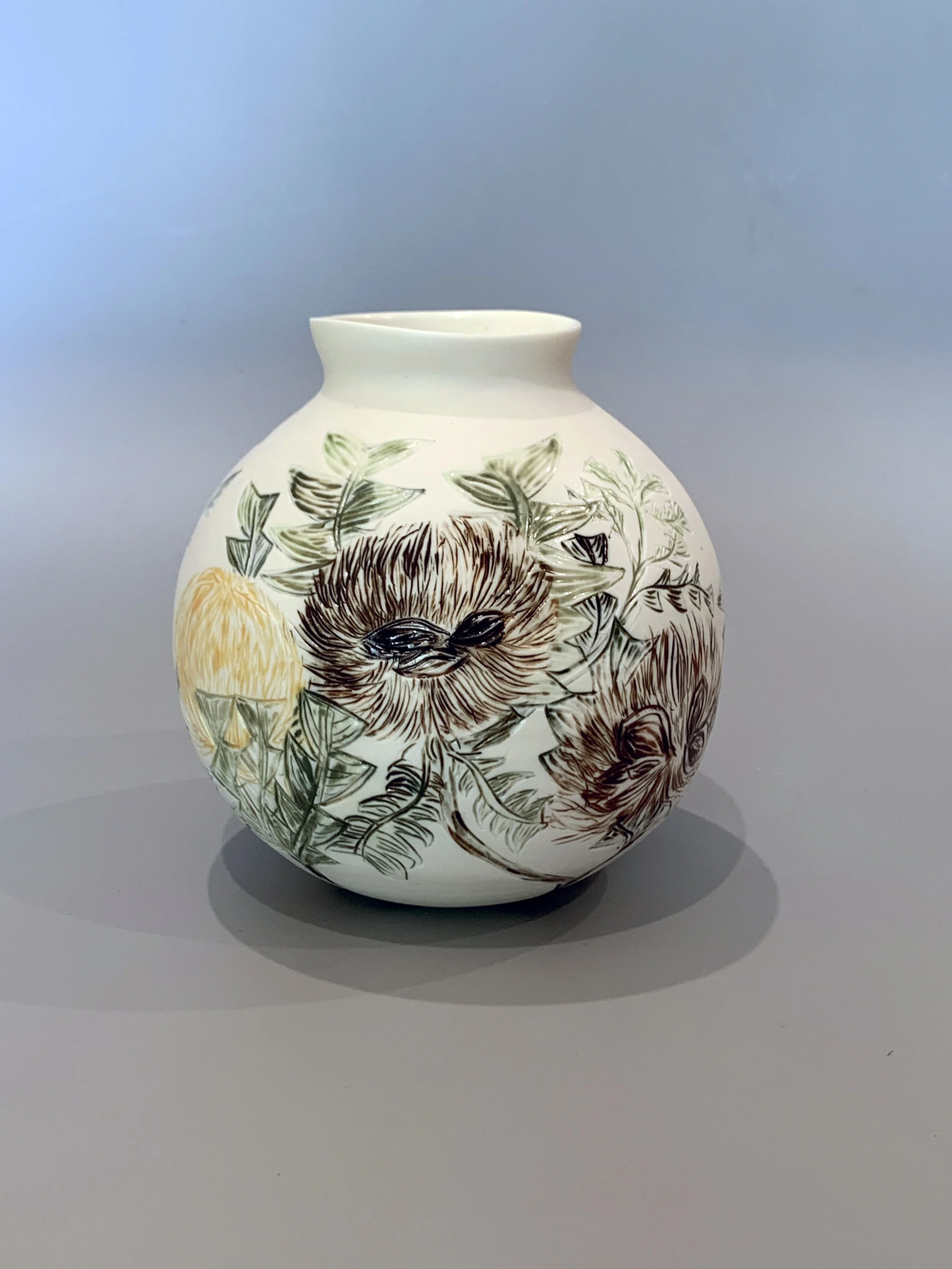 7 a Banksia Baxteri.jpg