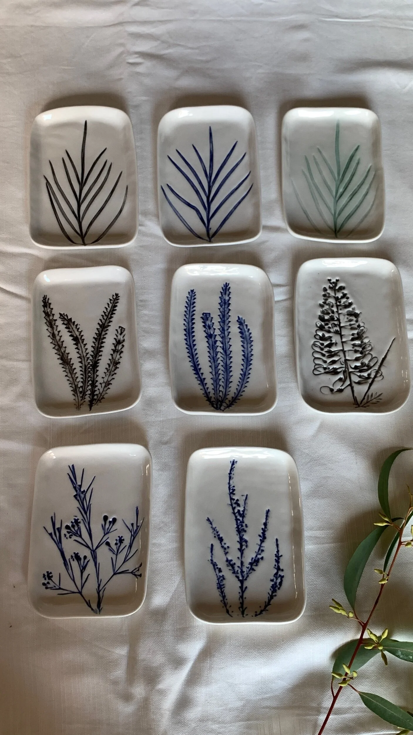 338C3766-C3C1-46AA-894A-7F933390ADE9