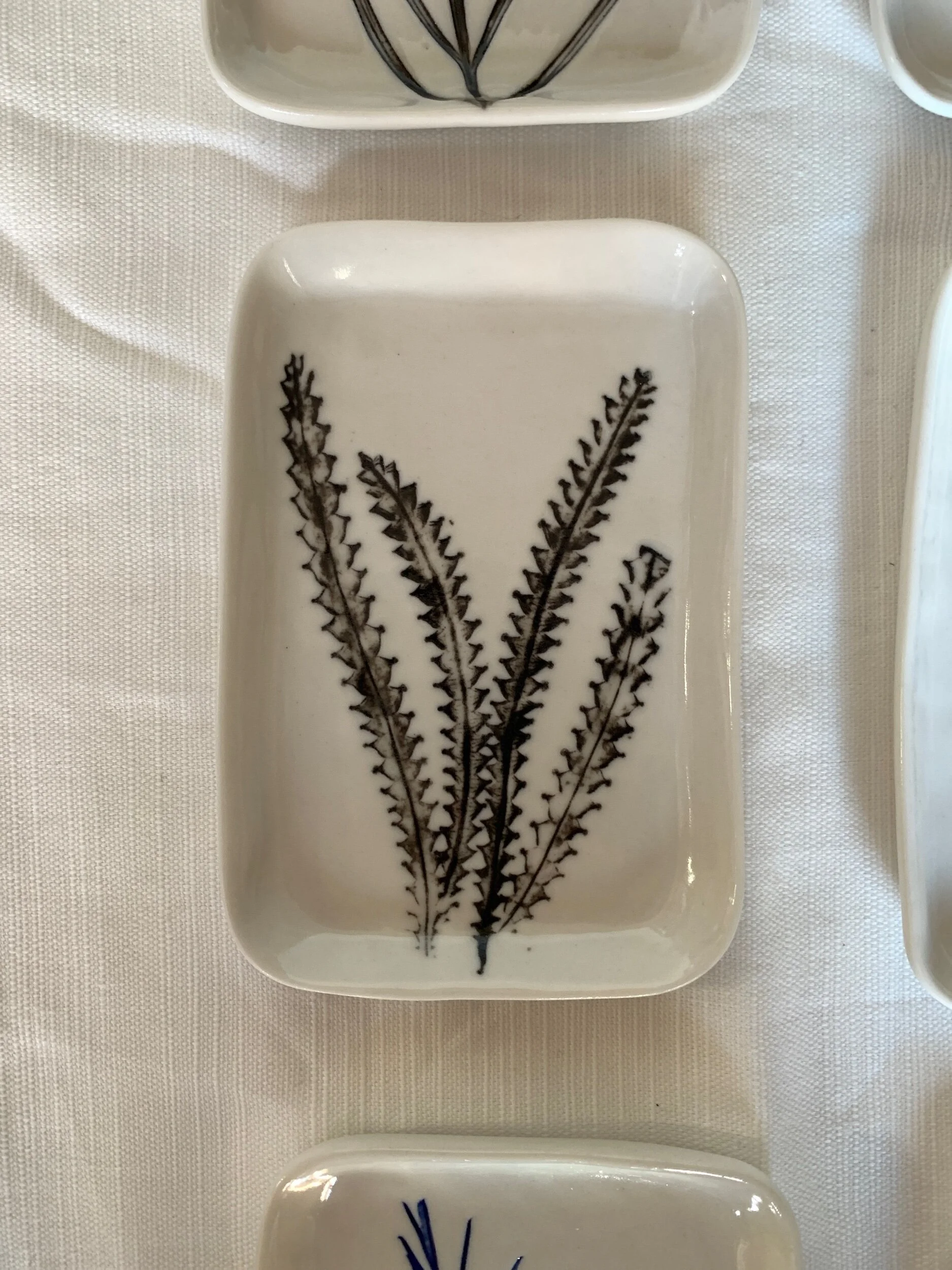 EDD813F5-C114-41D2-A2D8-9FE0386F003D