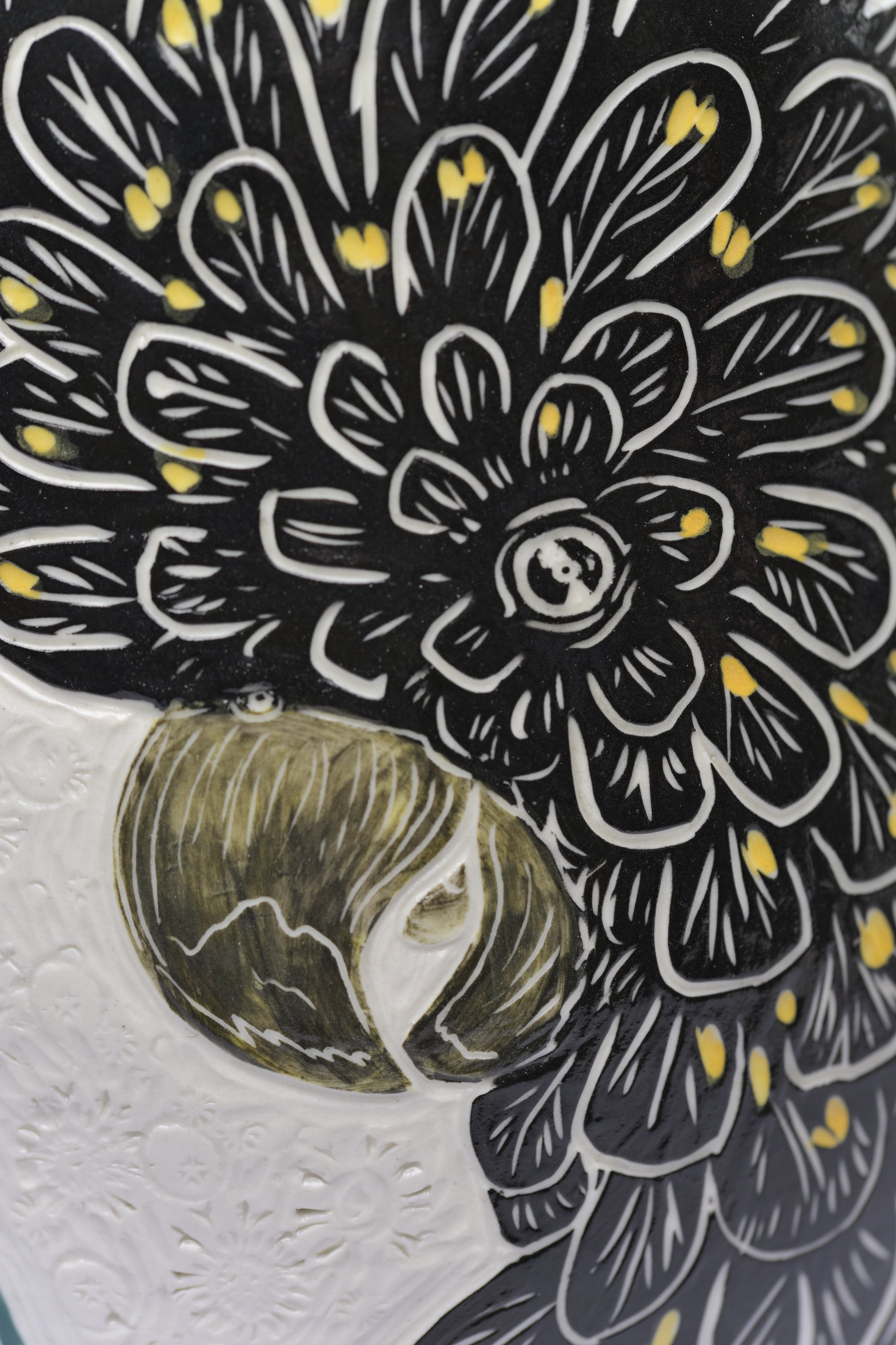 Red-tailed black cockatoo close up by Danica