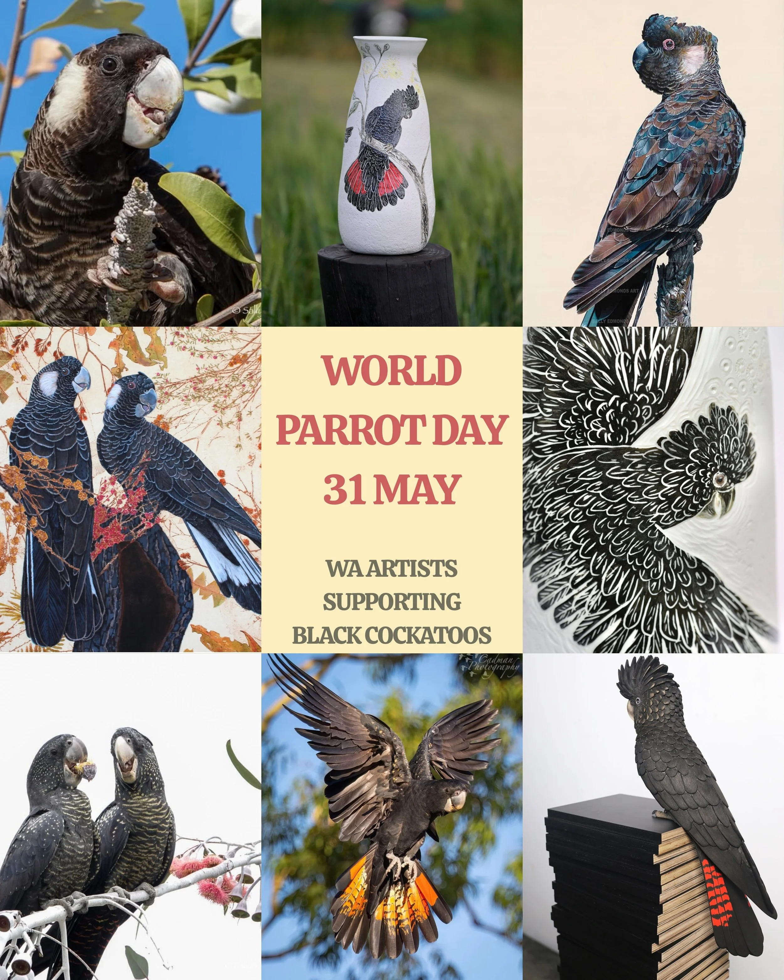 For World Parrot Day, WA artists are coming together to celebrate one of the most iconic sounds of our landscape &mdash; the black cockatoo 🖤

Featuring artworks inspired by Carnaby&rsquo;s, Baudin&rsquo;s and Forest Red-tailed Black Cockatoos, this