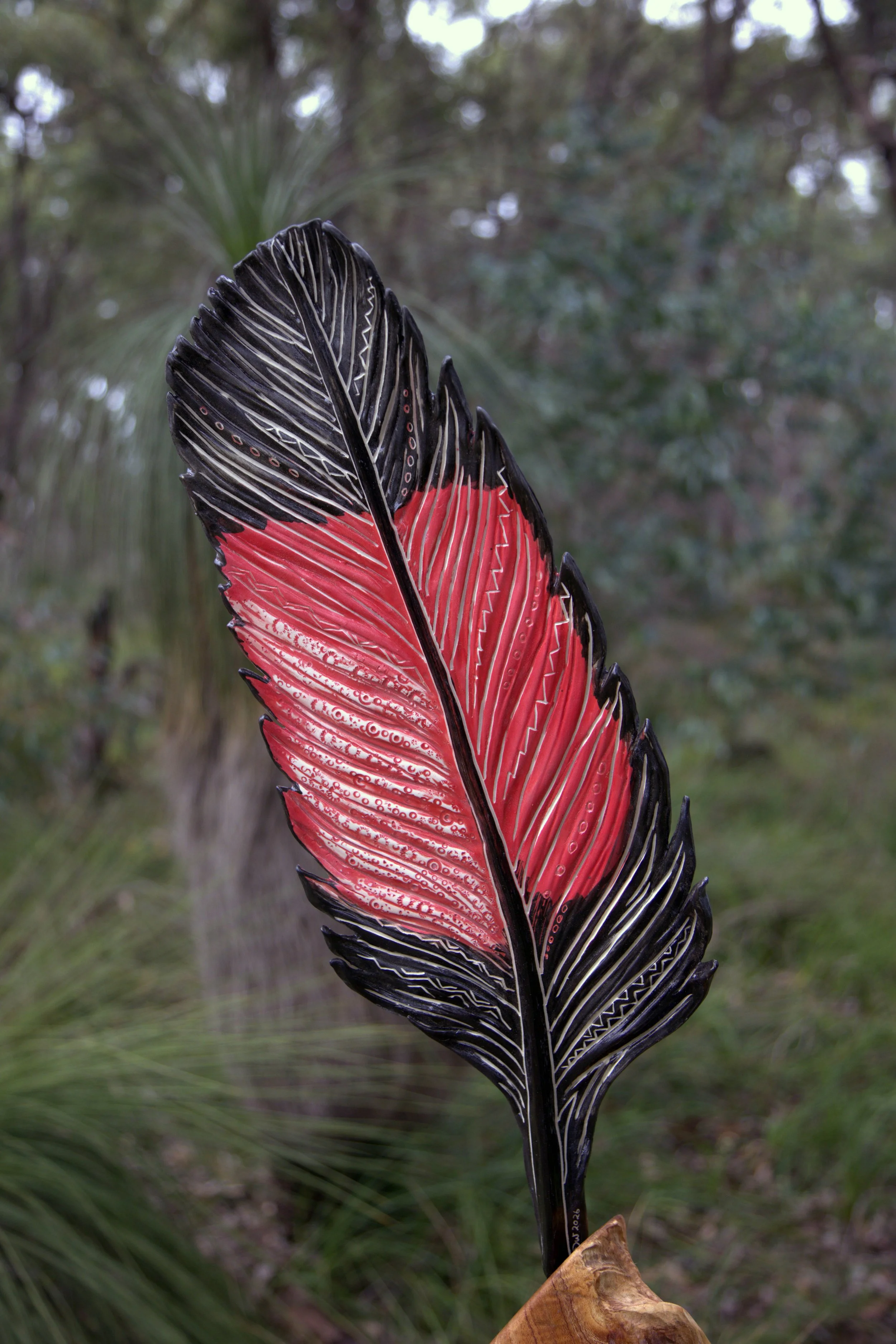 where feathers gather red tail.jpg