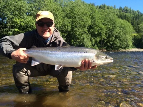 Nydelig blank laks fra "iverhølen" uke 25.