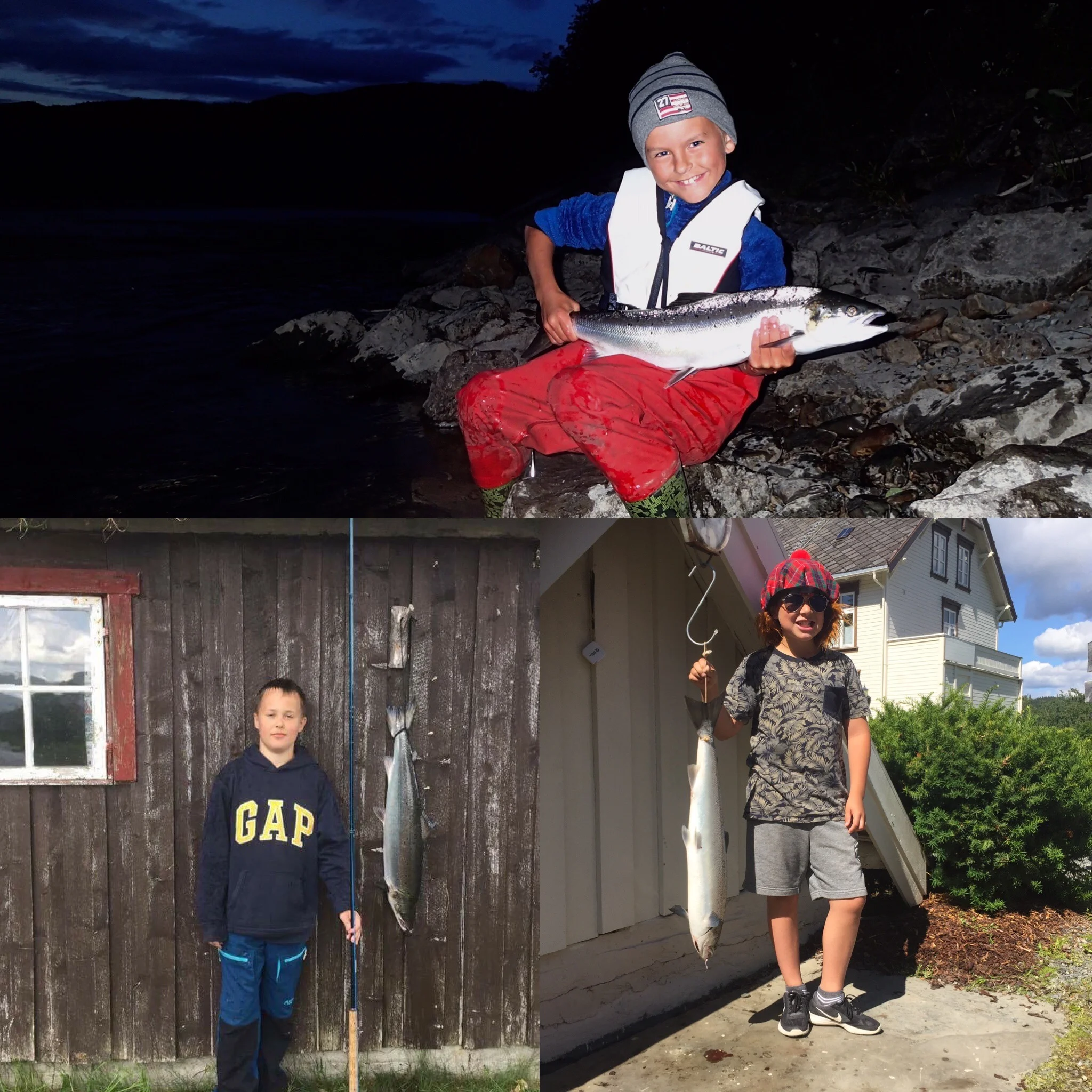 Vidar, Gustav og Olle. Uke 27 og 28 er rekruttenes uker også, og de har virkelig slått til i år. Lover godt for kommende år her på Hembre Gård.
