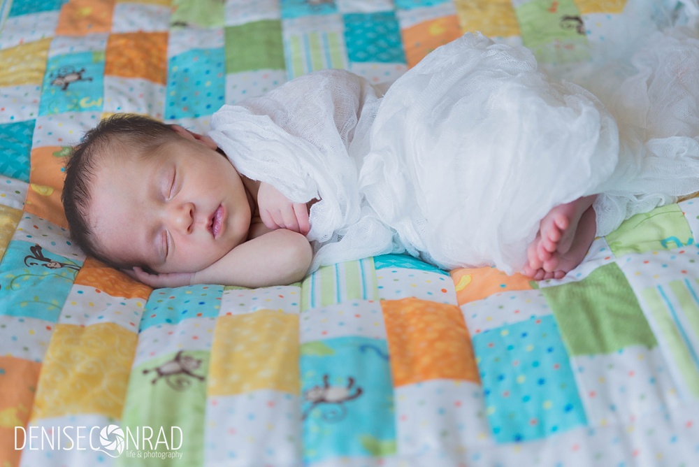 san diego newborn photographer_0067