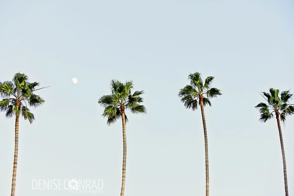 carlsbad photographer_0304