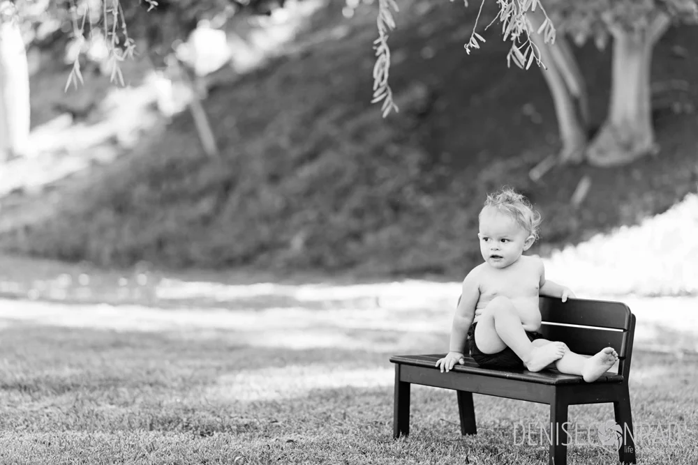 vista photographer-deniseconrad_0739.jpg