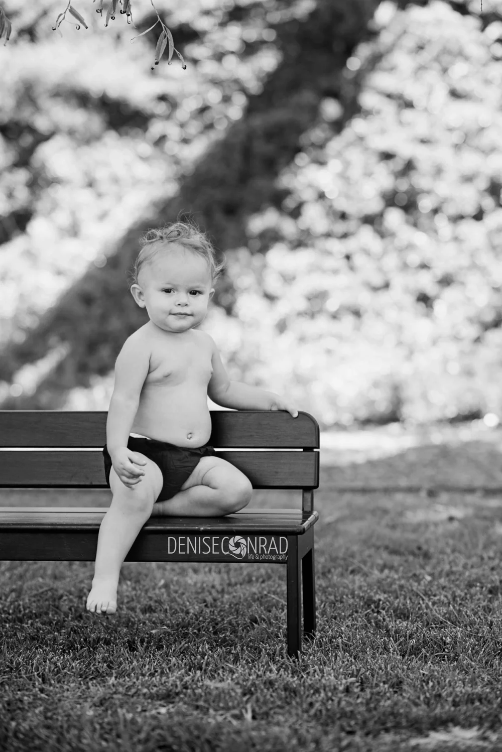vista photographer-deniseconrad_0743.jpg