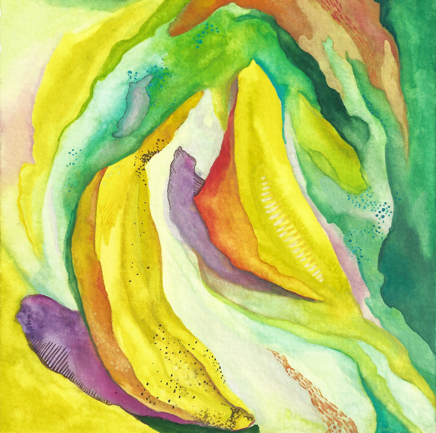 Banana, Not Banana
