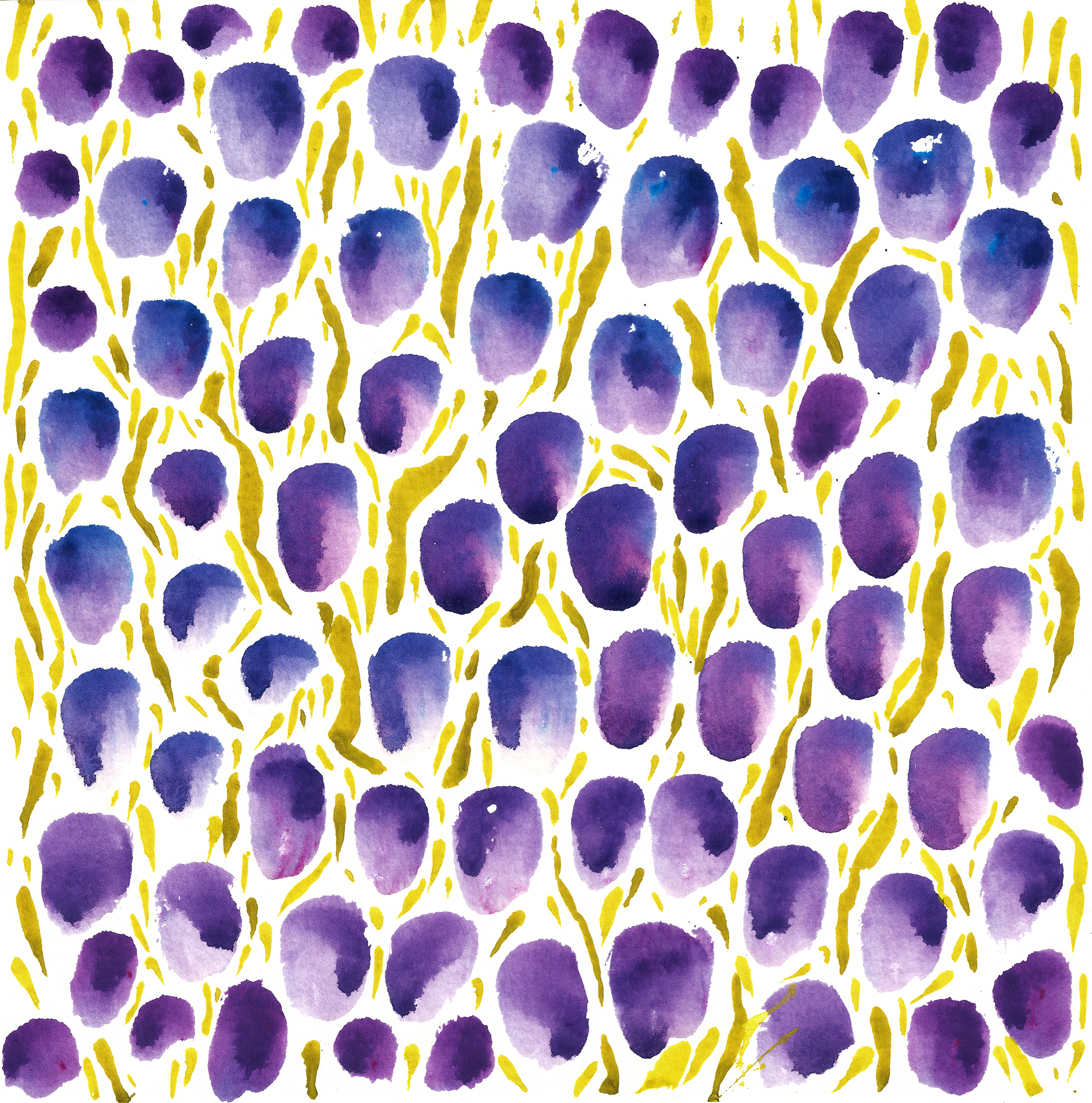 Violet Bloops