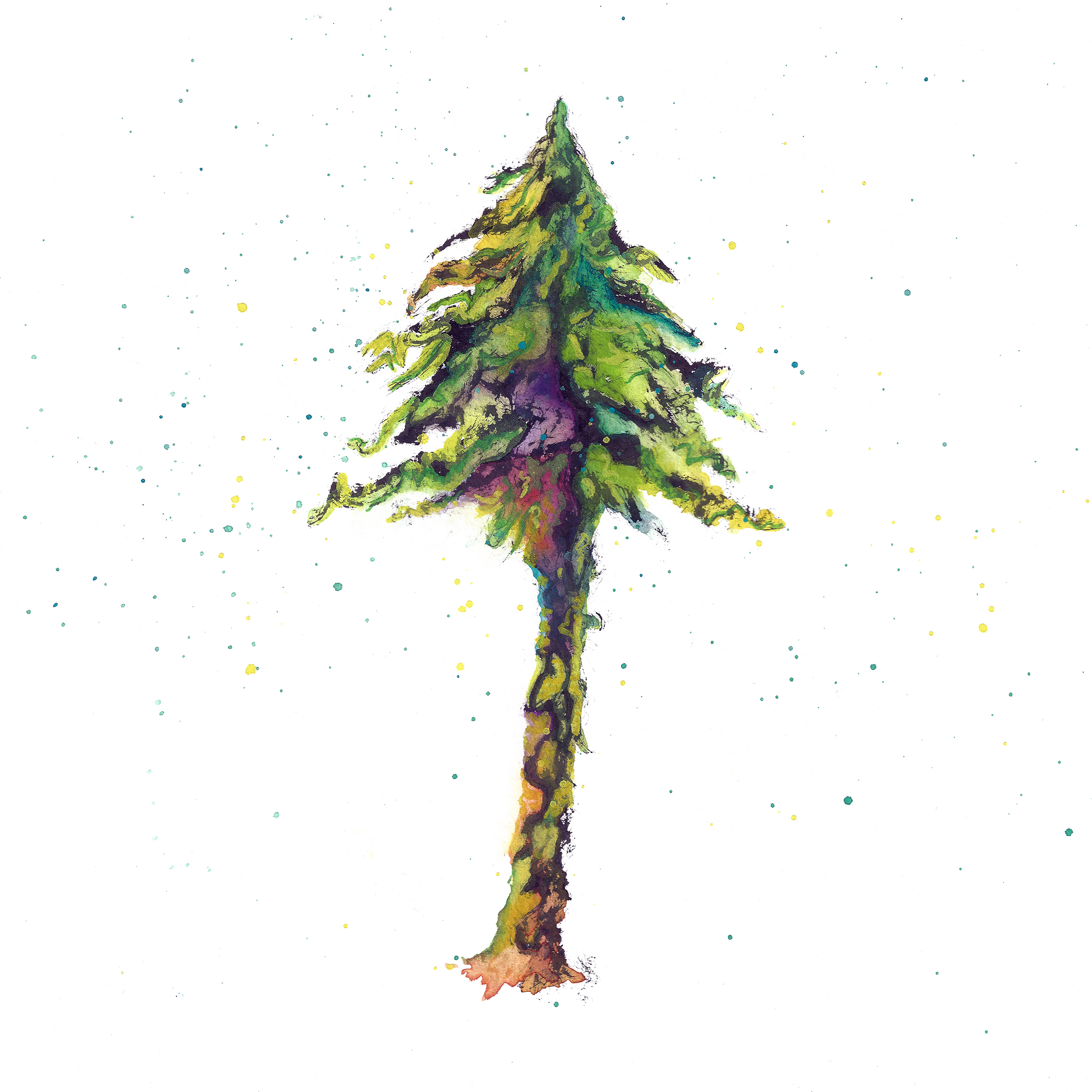 inkypine.jpeg