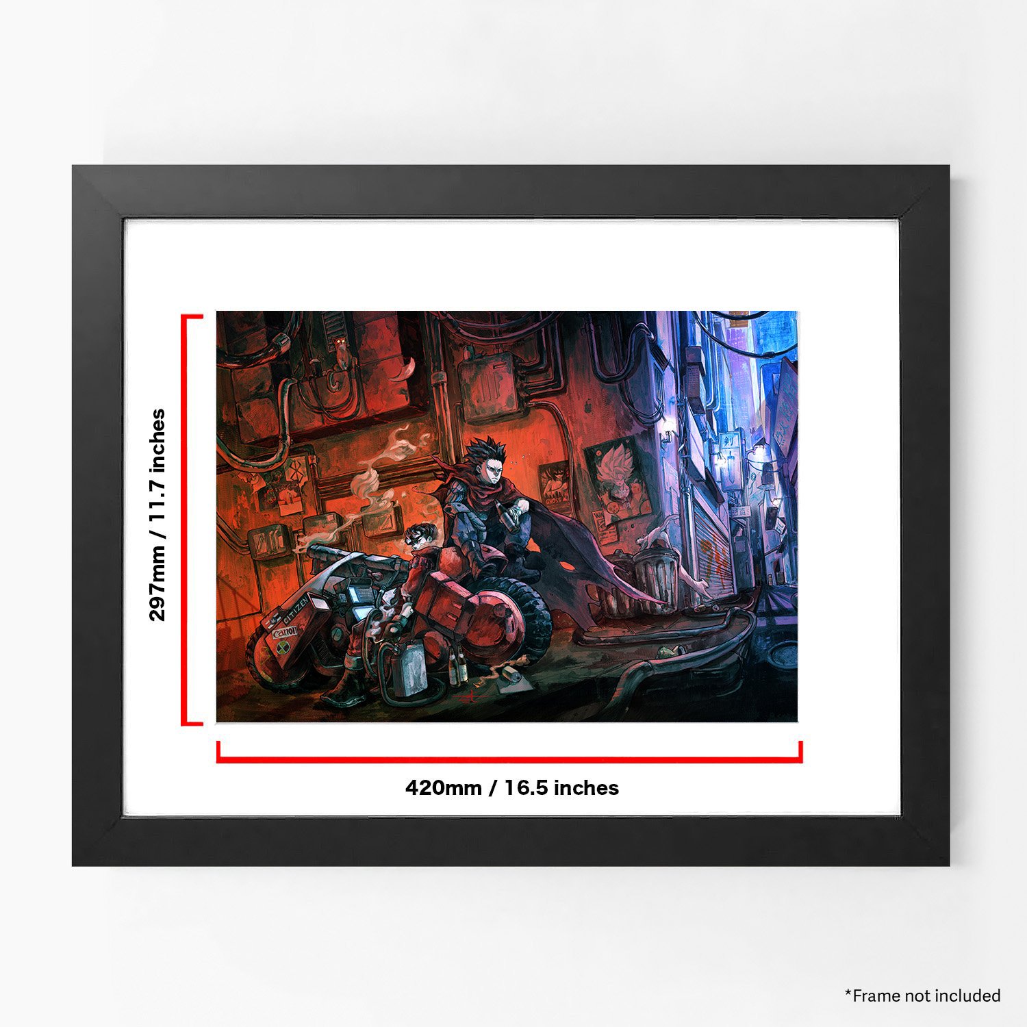 akira a3 dim.jpg
