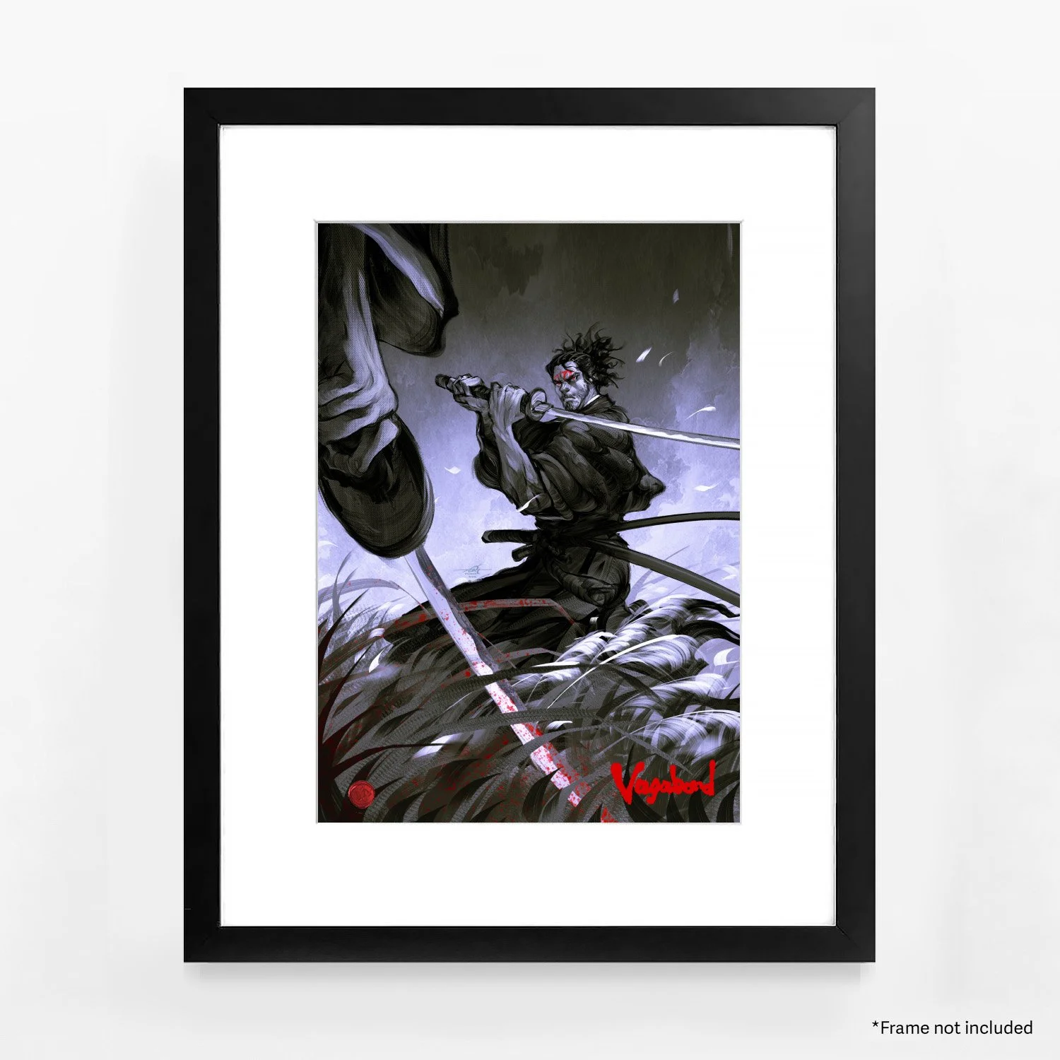 vagabond a2 display.jpg